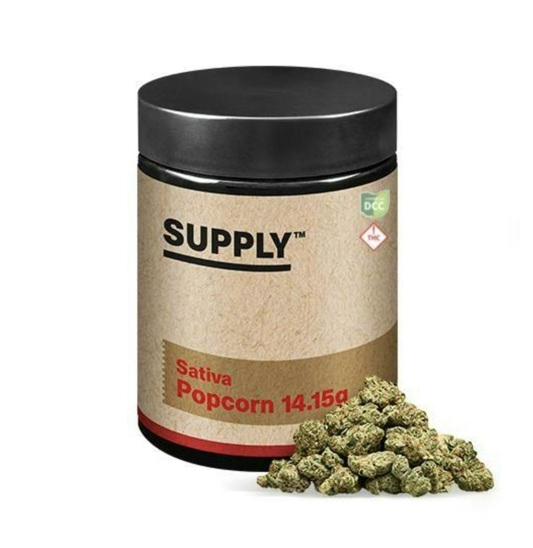 Mango Mintality | Buds | 14.15g