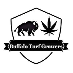 Black Runtz | Smalls | 7g