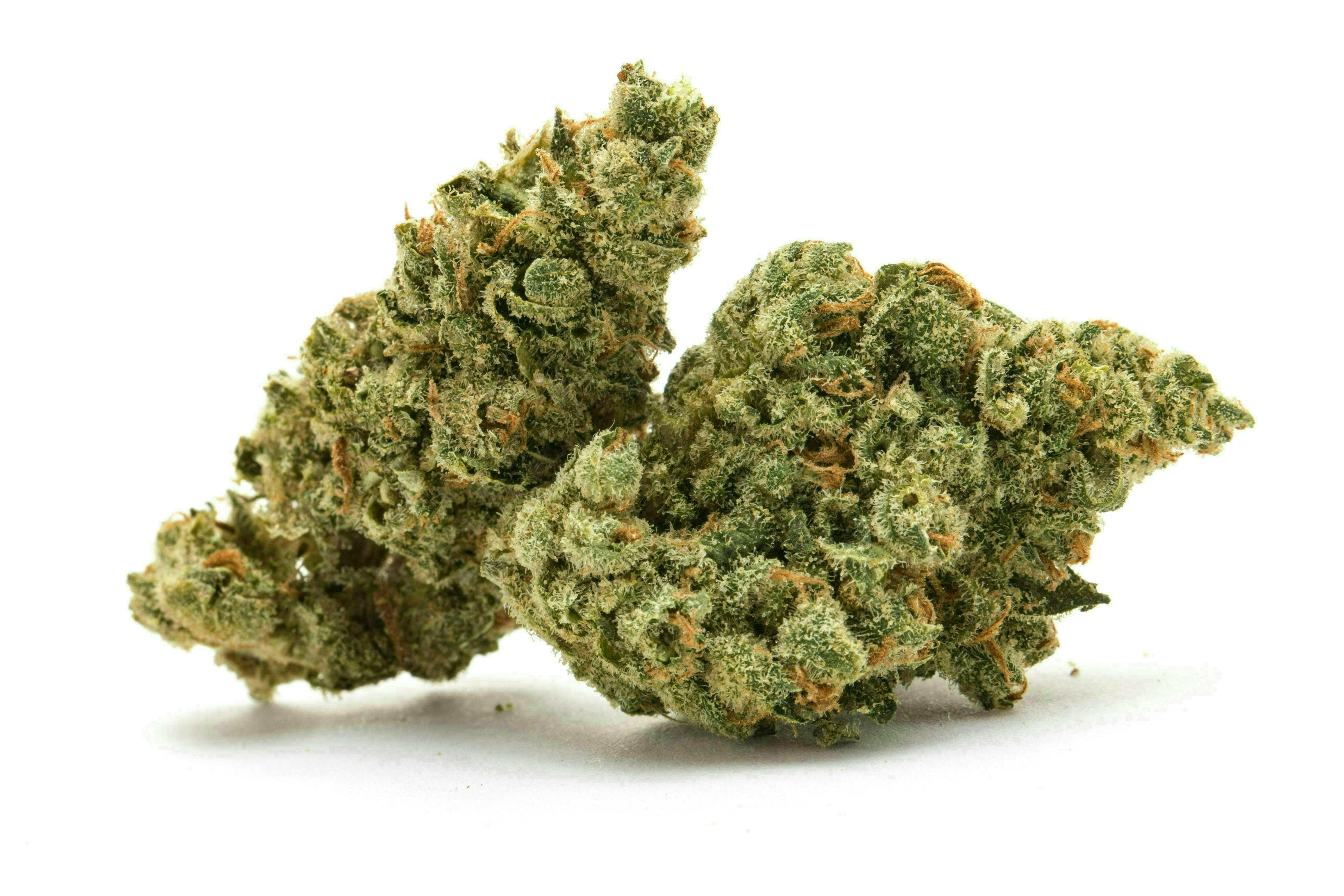 Apple Tartz | Shake | 28g