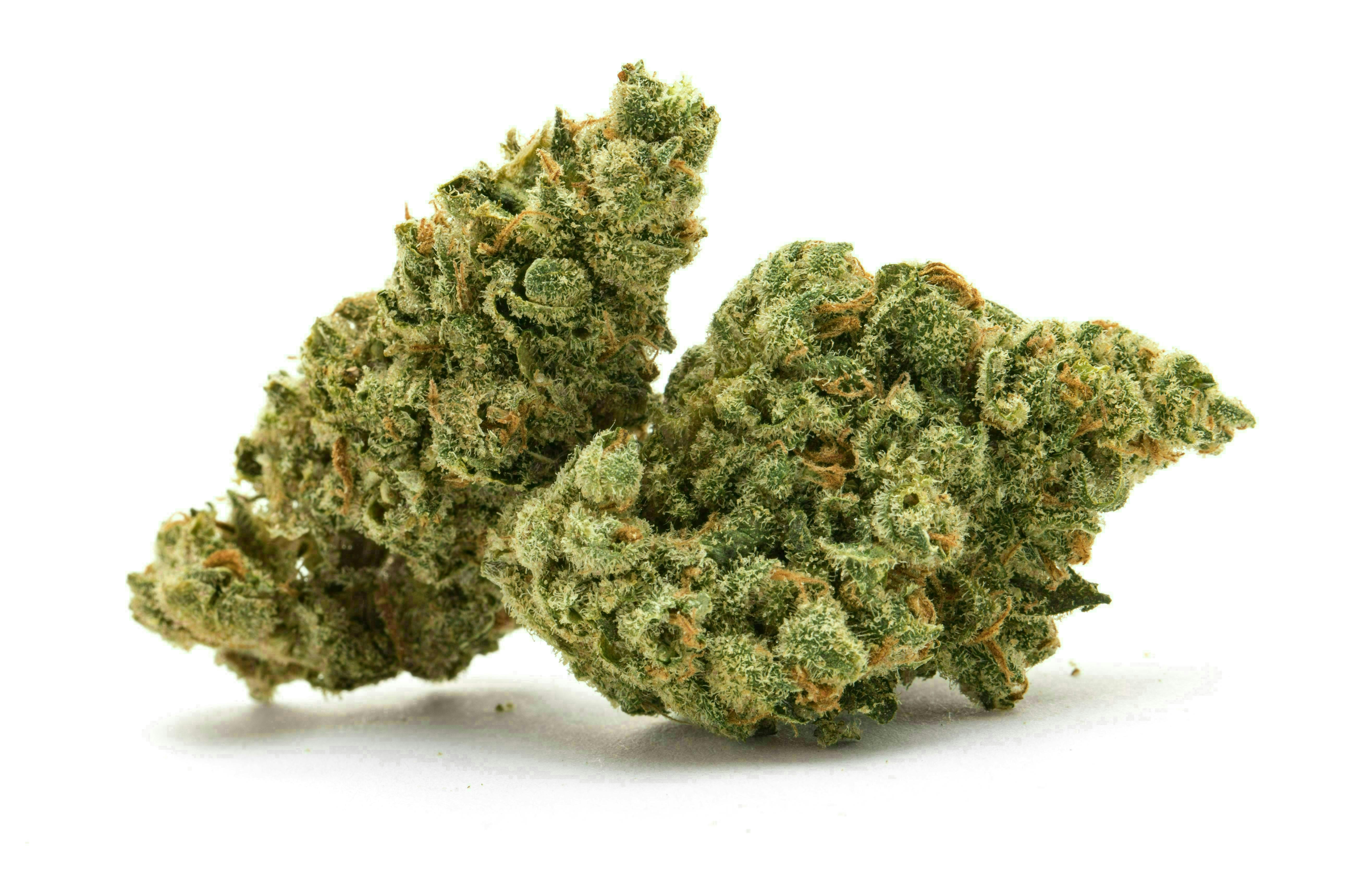 Candy Gas | Shake | 28g