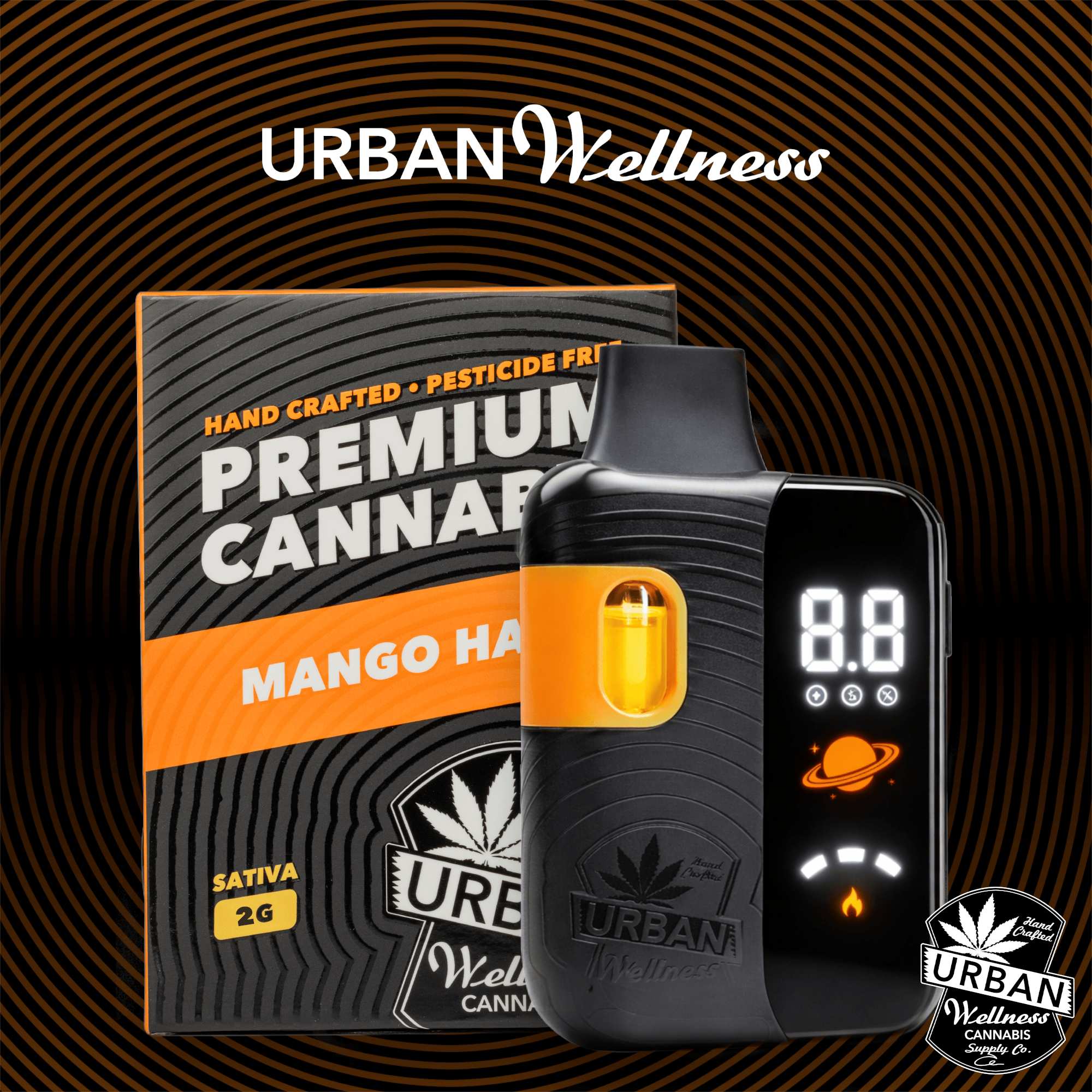 Mango Haze | Disposable | 2g