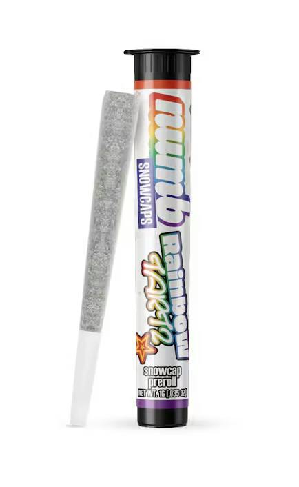 Rainbow Tartz | Snowcap Infused Joint | 1g