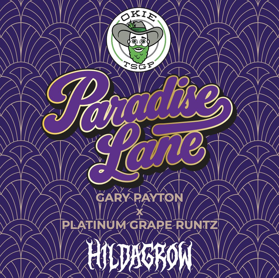 Paradise Lane (Hildagrow) - 1g - Live Hash Rosin Batter
