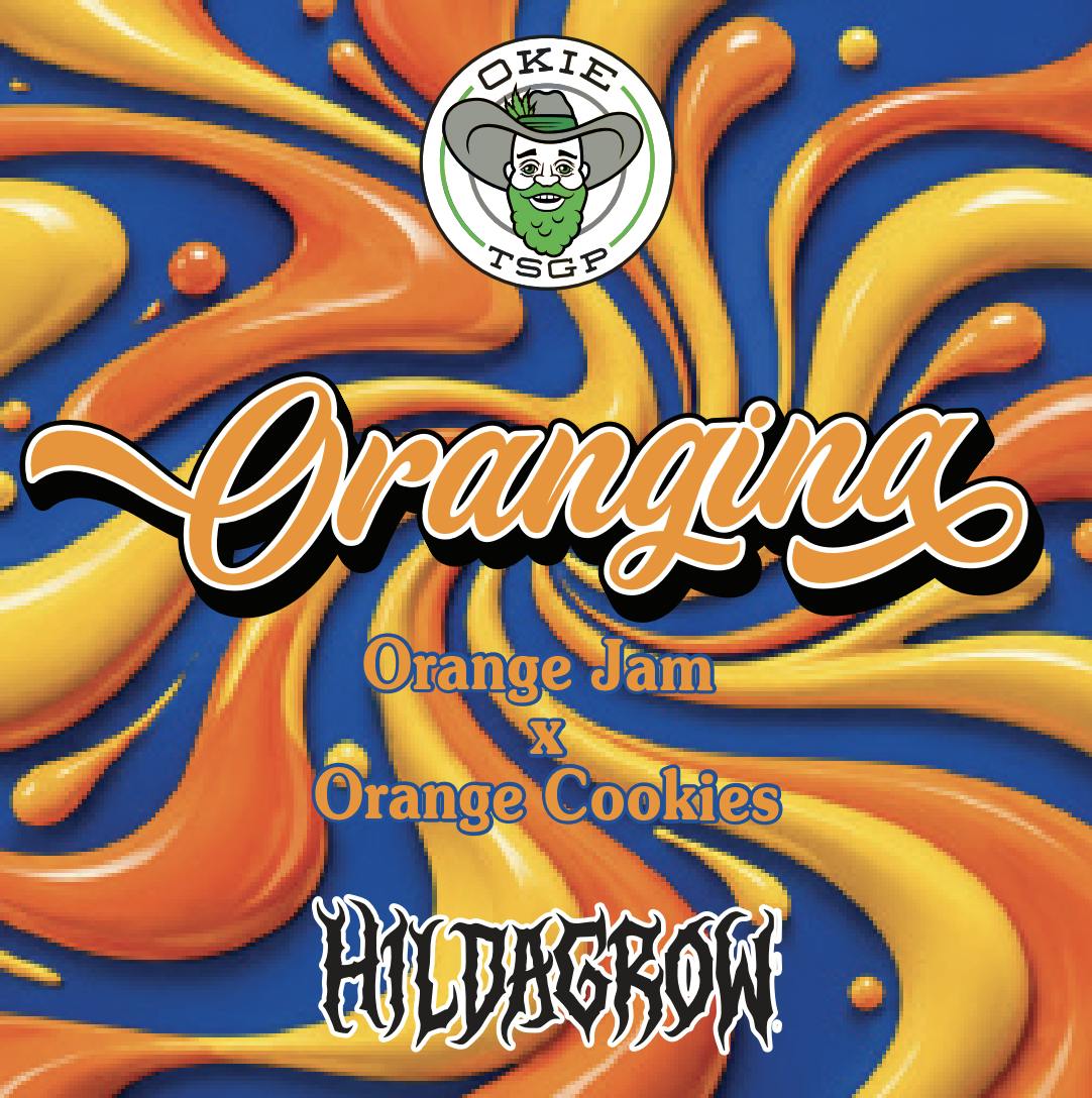 Orangina (Hildagrow) - 1g - Live Hash Rosin Batter