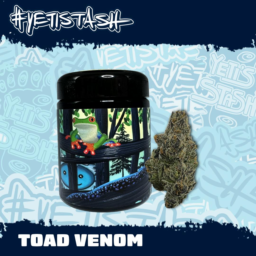 Yetistash | Toad Venom | Flower | 14G Jar