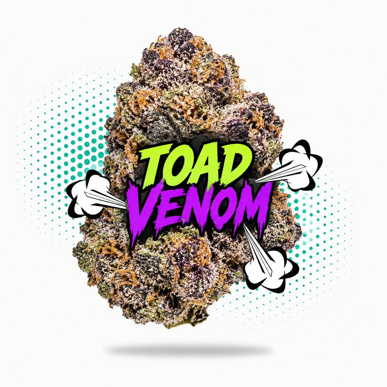 Toad Venom (3.5g - 1/8oz) - Top Shelf Indoor - Hybrid