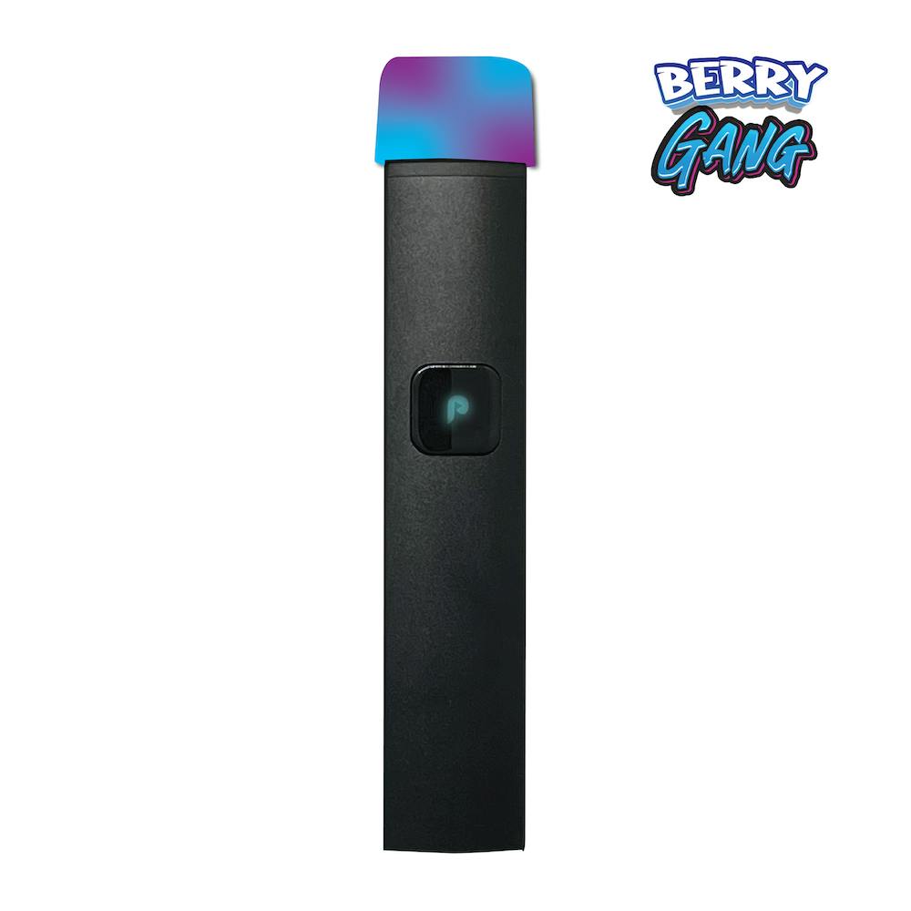 VAPE - 1g JUSTPLAY™ Berry Gang