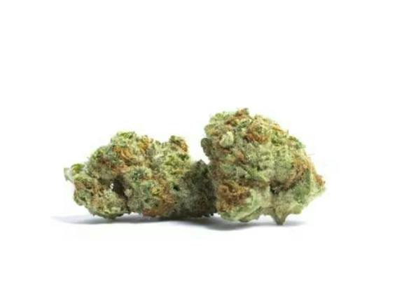 Collins Ave | Buds | 28g