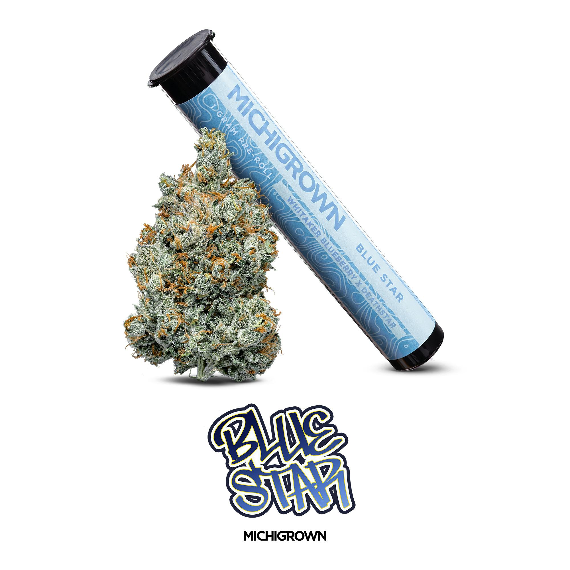 Blue Star | Joint | 1g