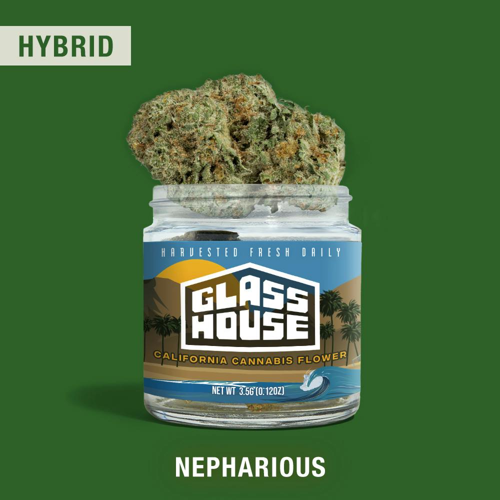 Nepharious [3.5g Jar]