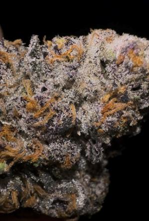 Permanent Marker | Buds | 3.5g