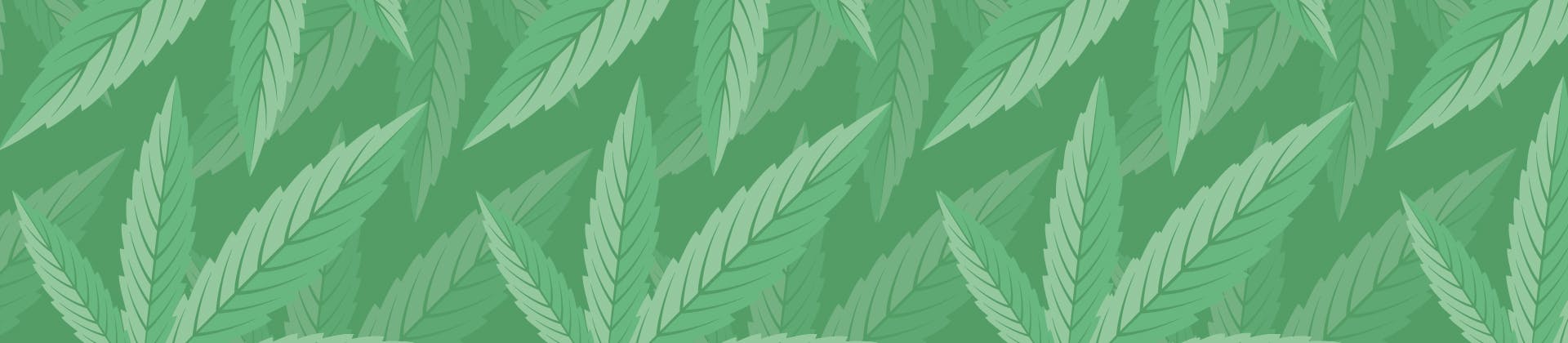 Biscotti Cookie Weed Strain Information Weedmaps