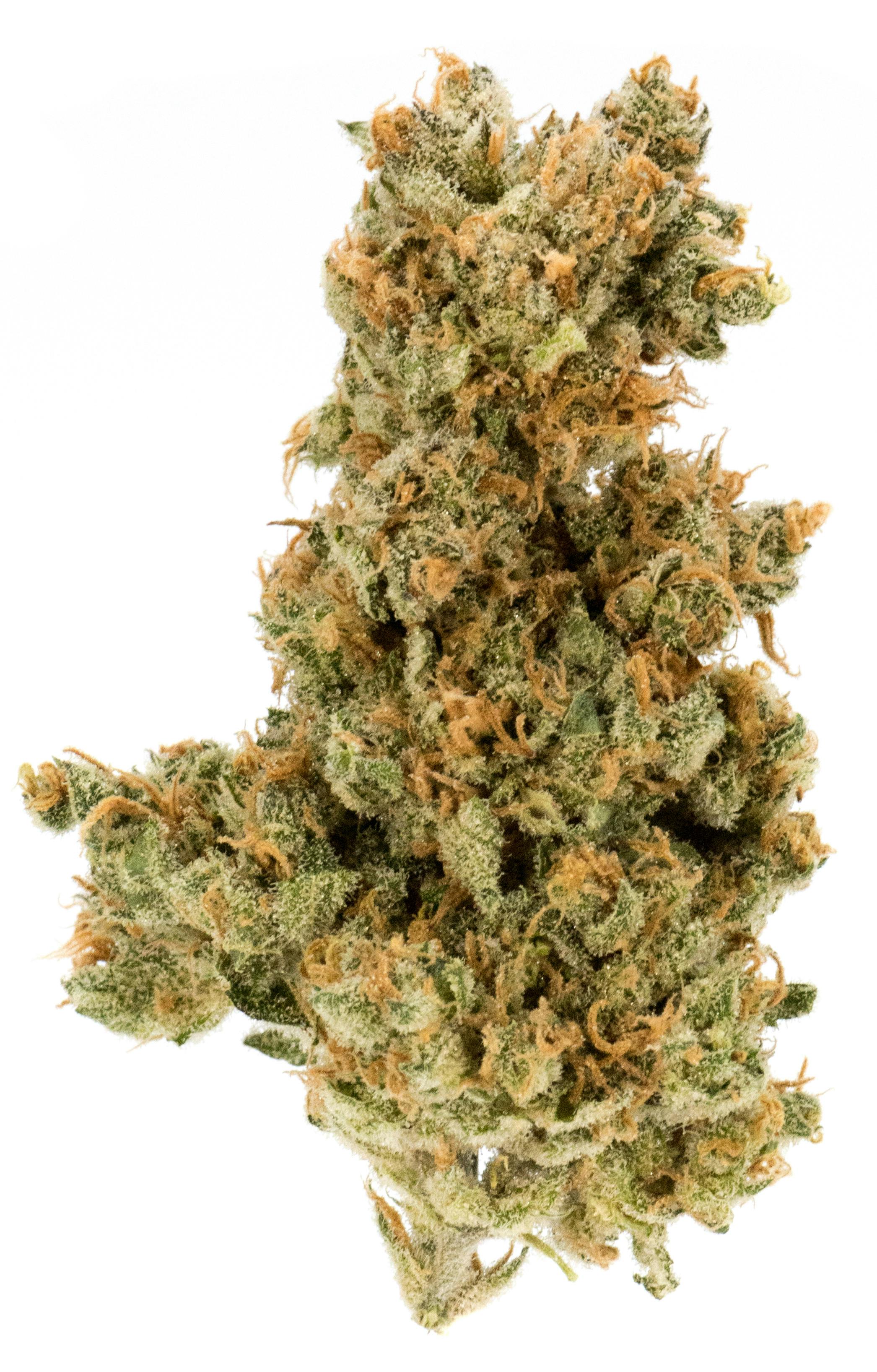 AK-47 Weed Strain Information | Weedmaps
