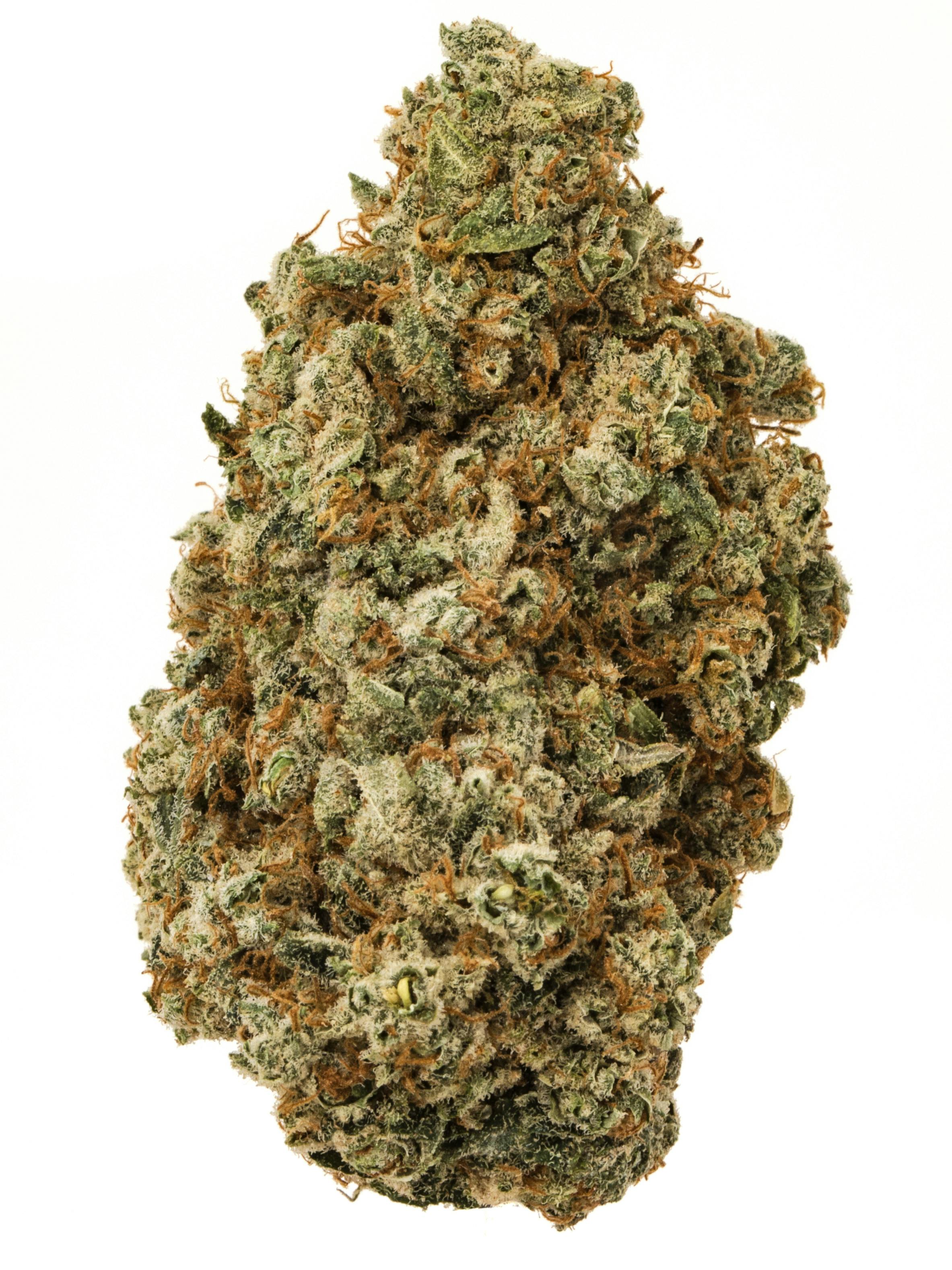 Alien OG aka Alien OG Kush Weed Strain Information Weedmaps