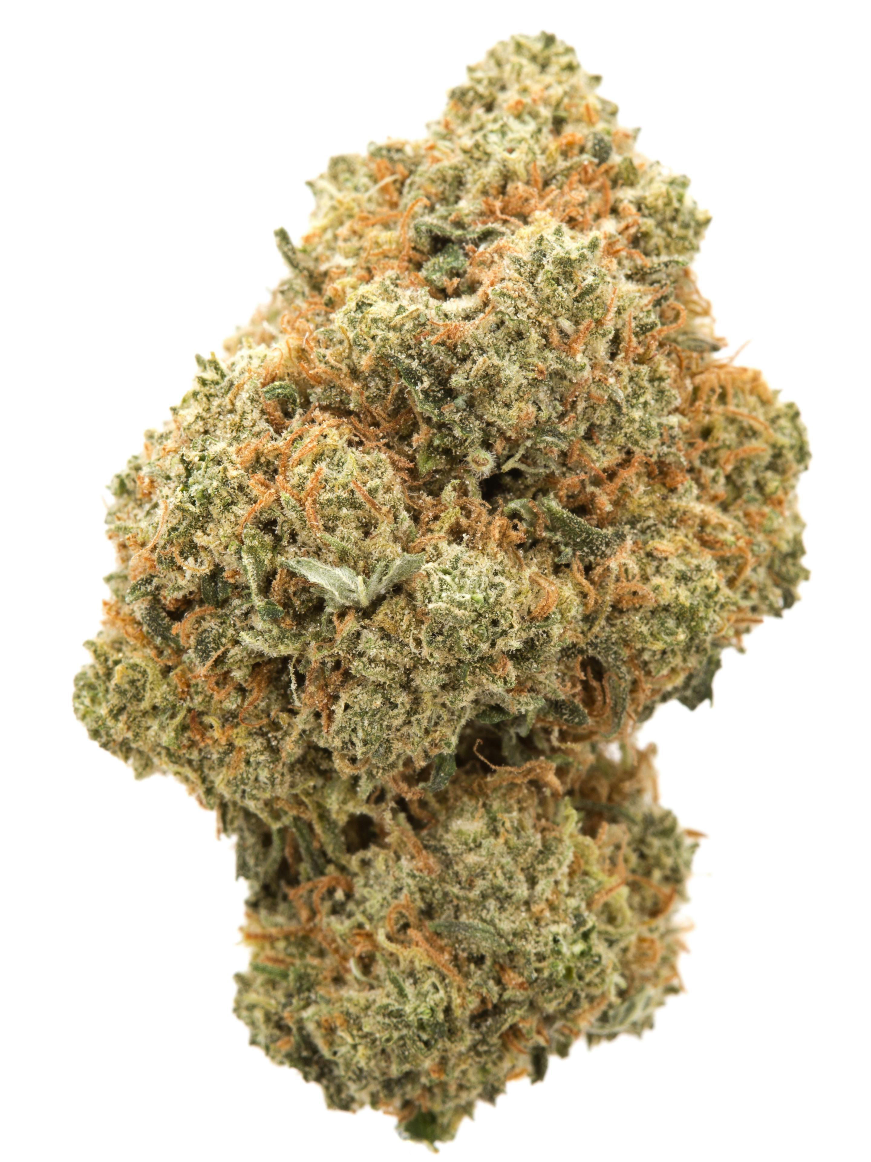 Black Widow Weed Strain Information | Weedmaps