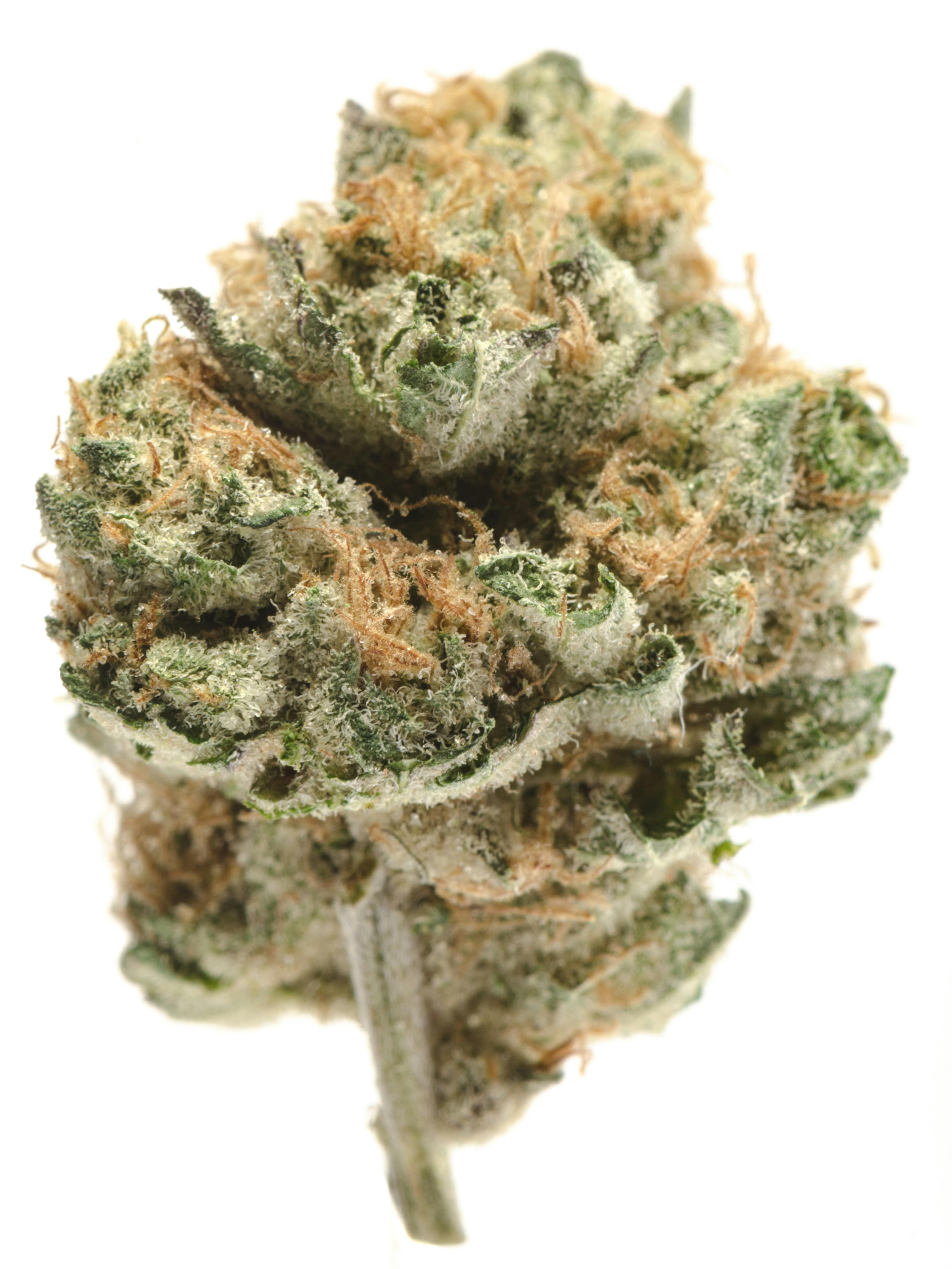 Cherry Kush Weed Strain Information Weedmaps