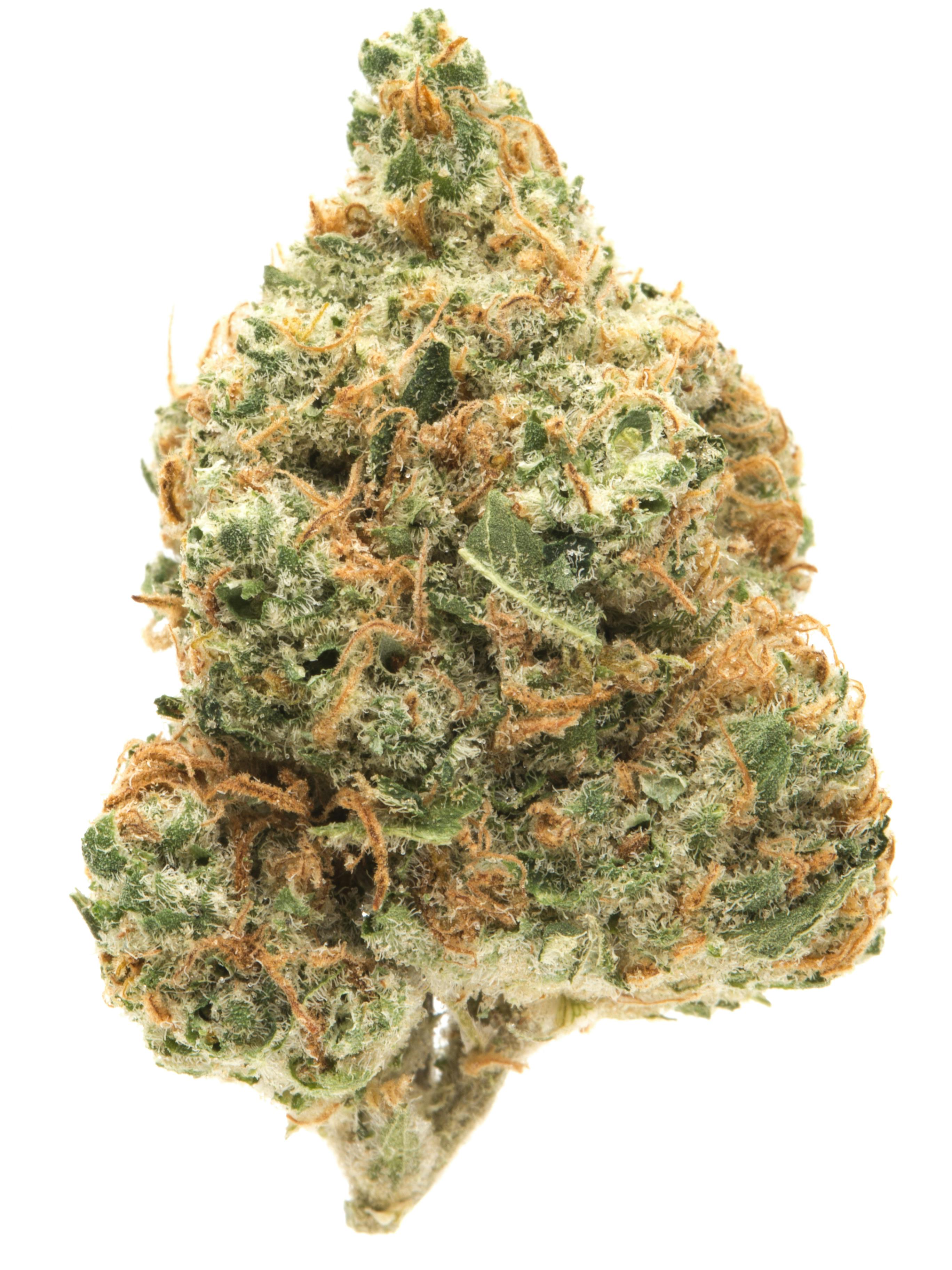 Glass Slipper Weed Strain Information Weedmaps