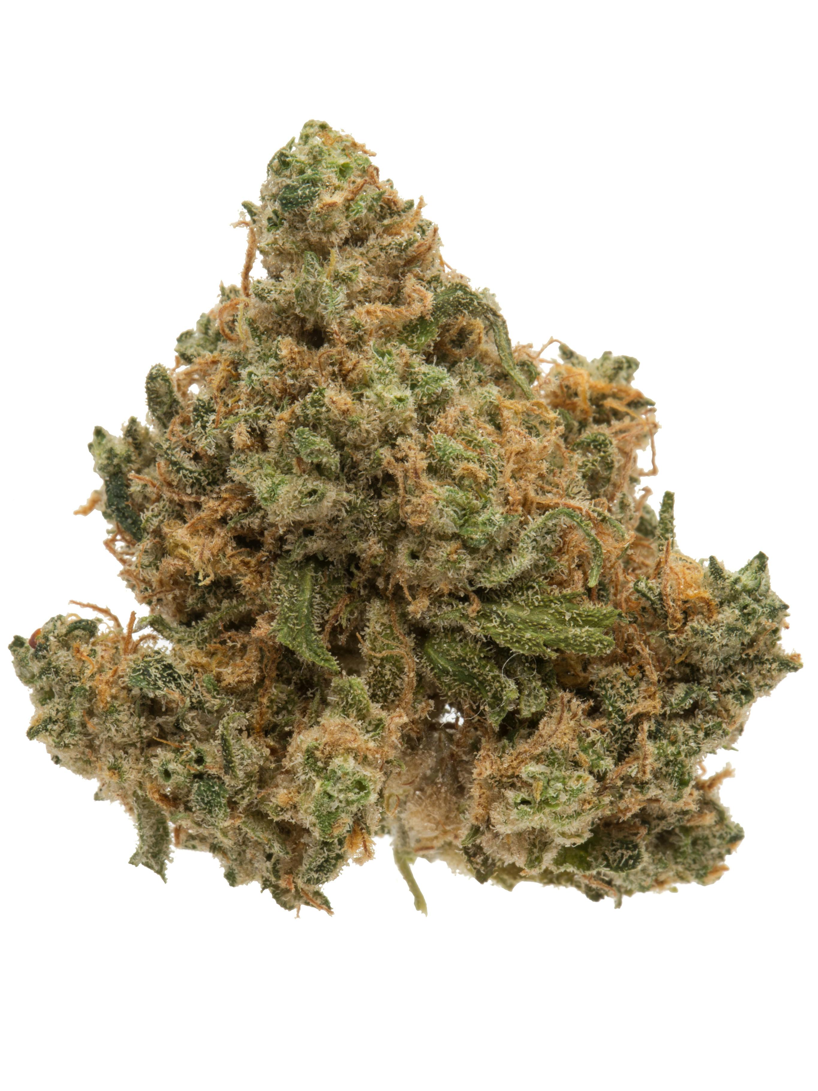 Bc Godfat - 8b36363