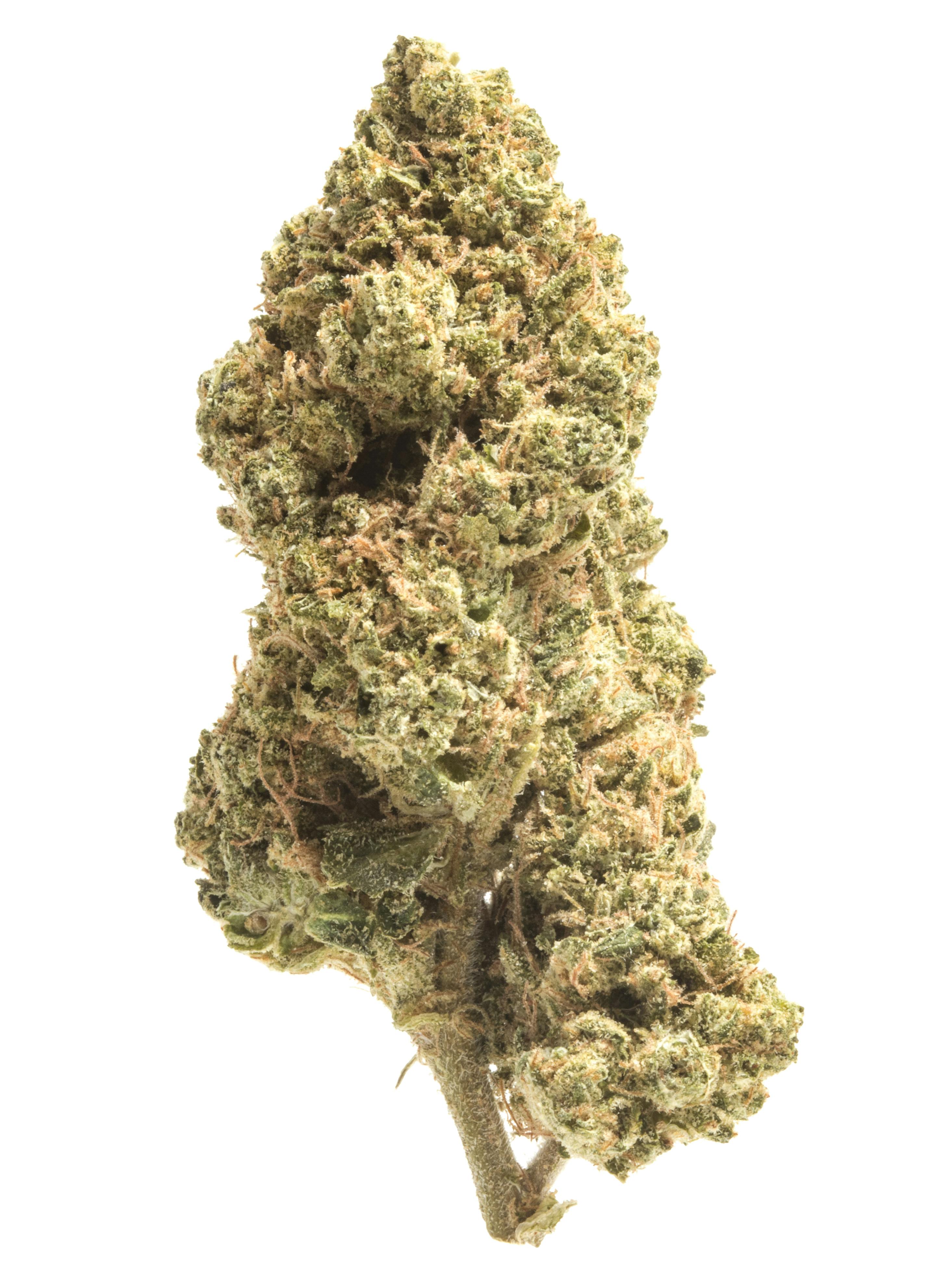 Lemon Kush Weed Strain Information Weedmaps