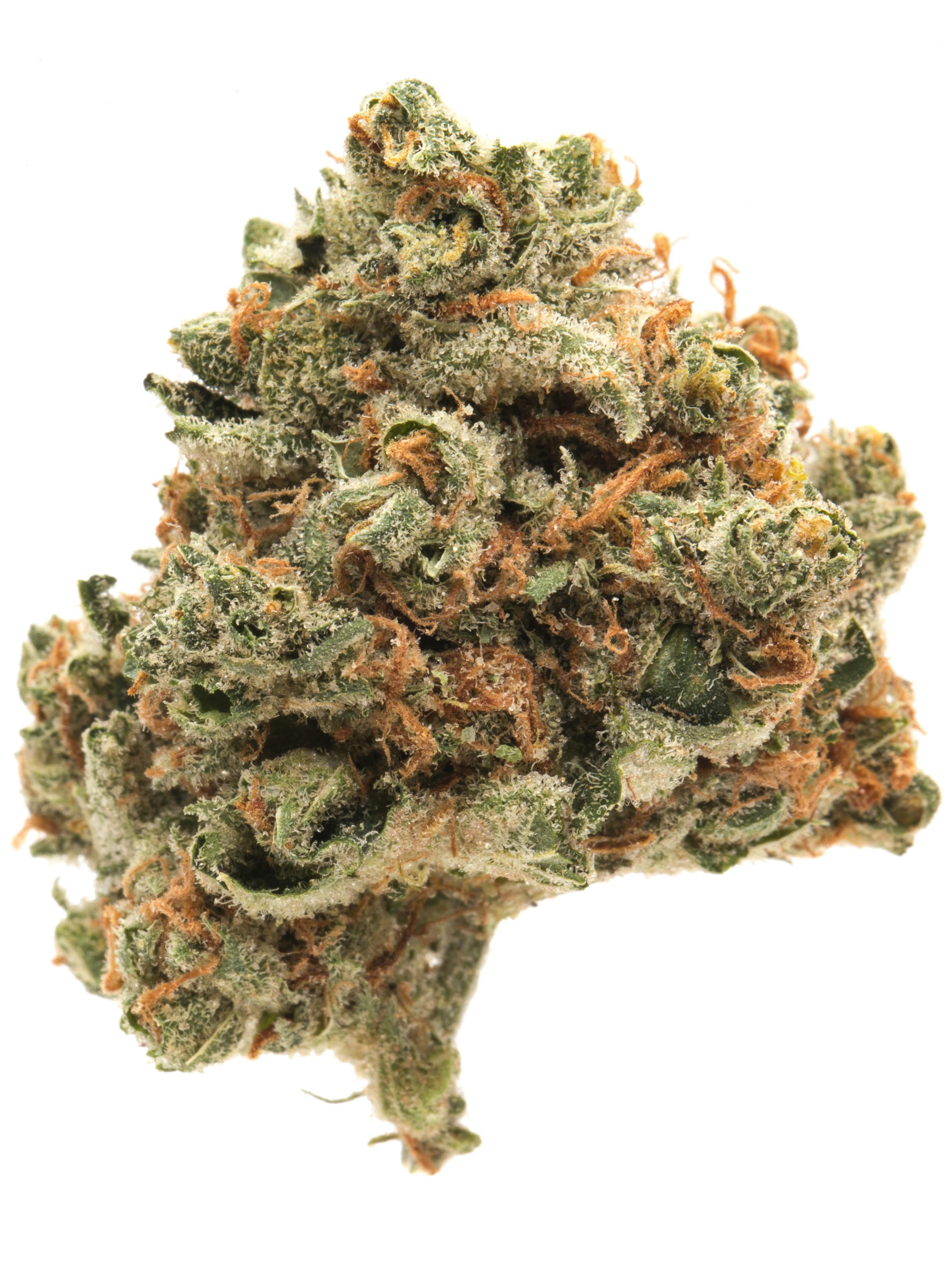 Lemon Meringue Weed Strain Information | Weedmaps