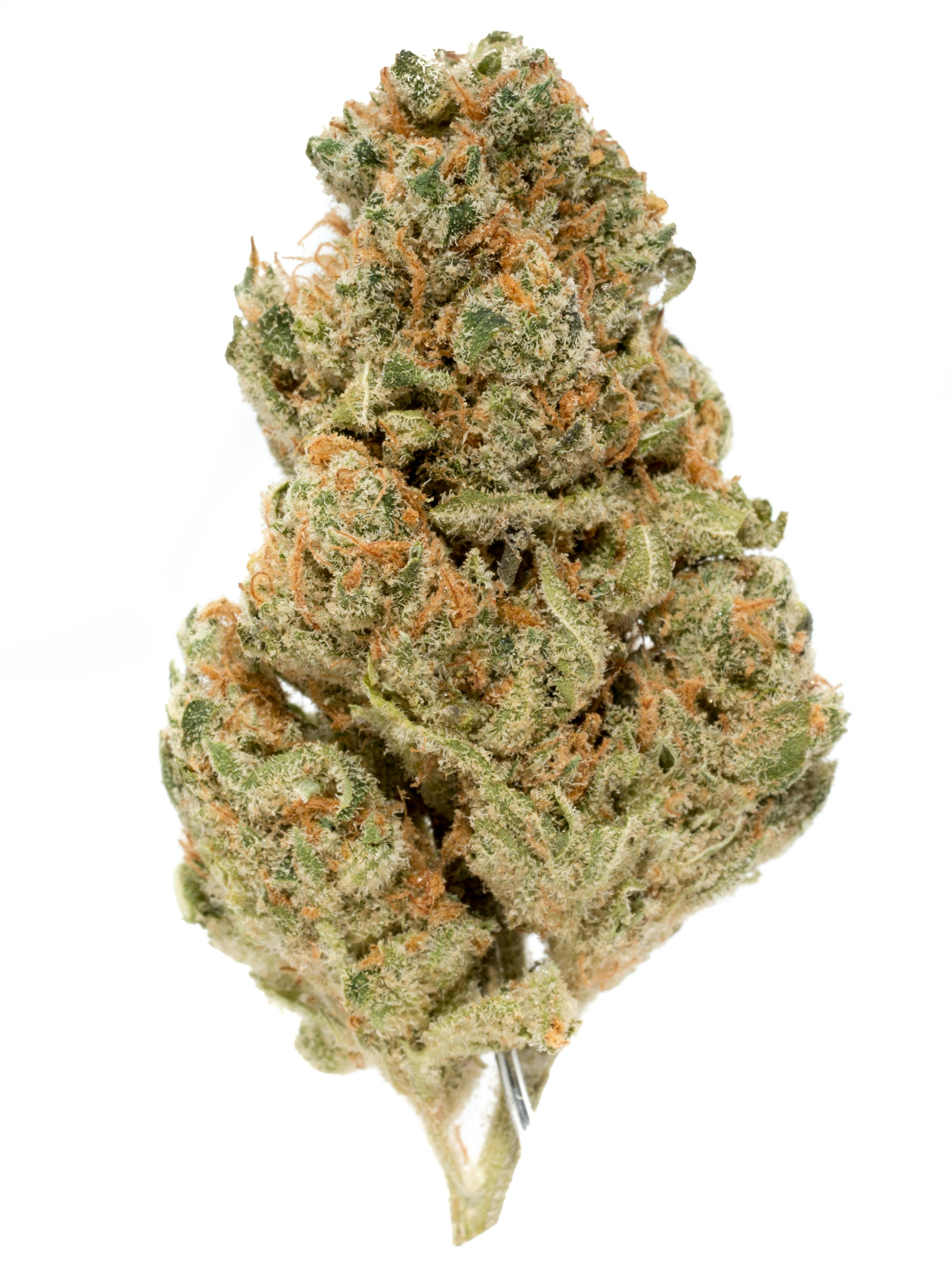Mango Kush Weed Strain Information | Weedmaps