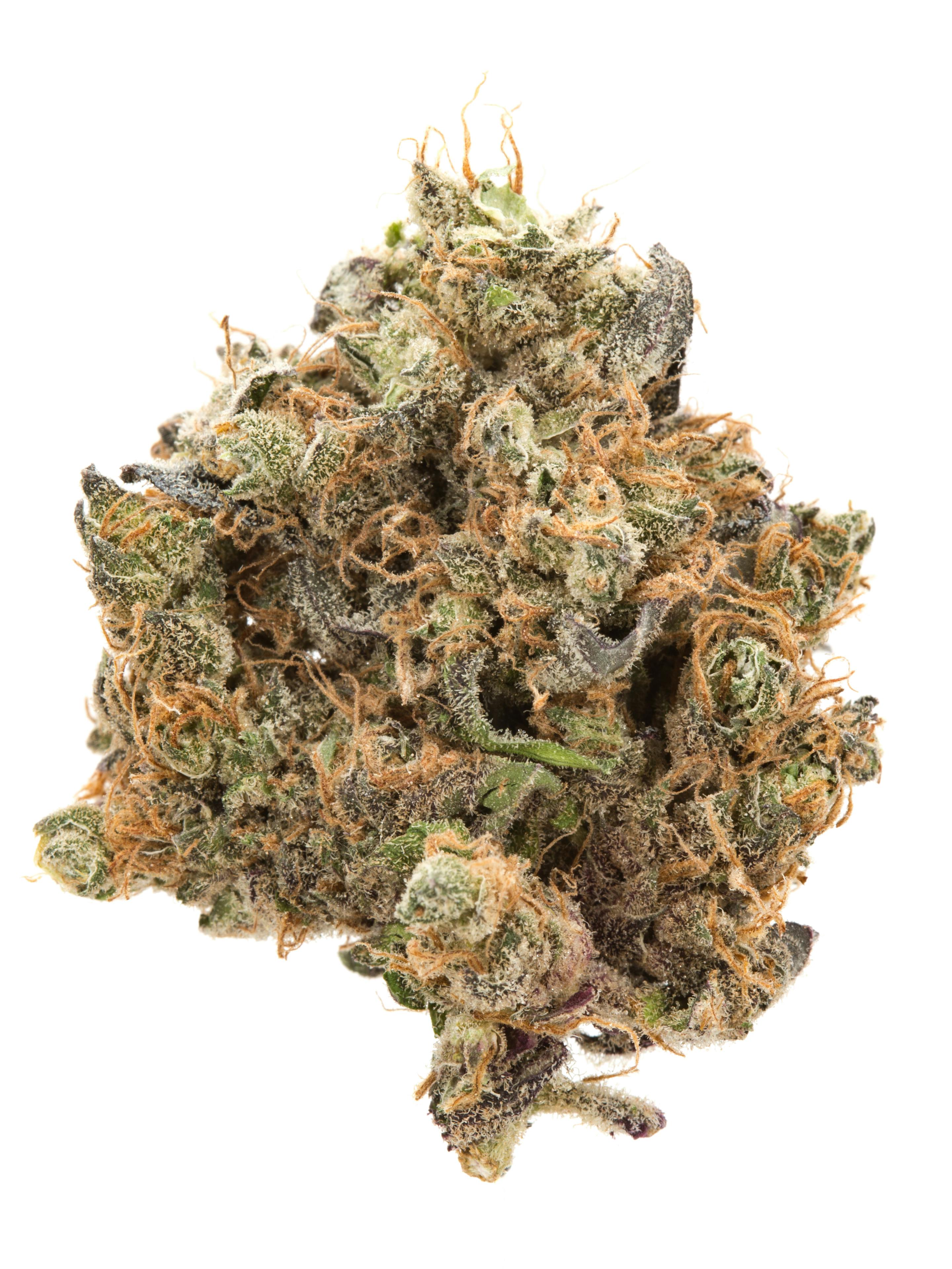16+ Han Solo Hash Plant Strain