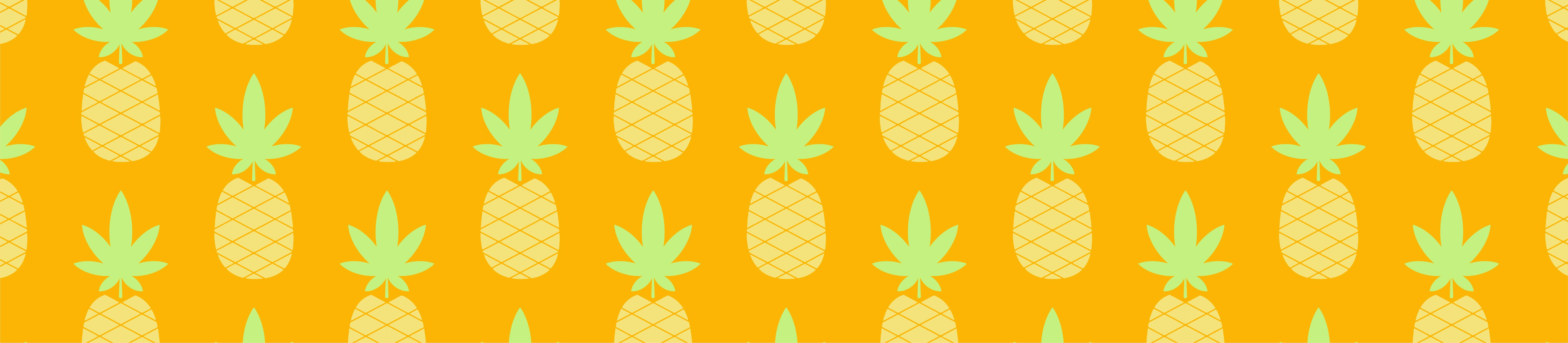 Pineapple Express cannabis strain