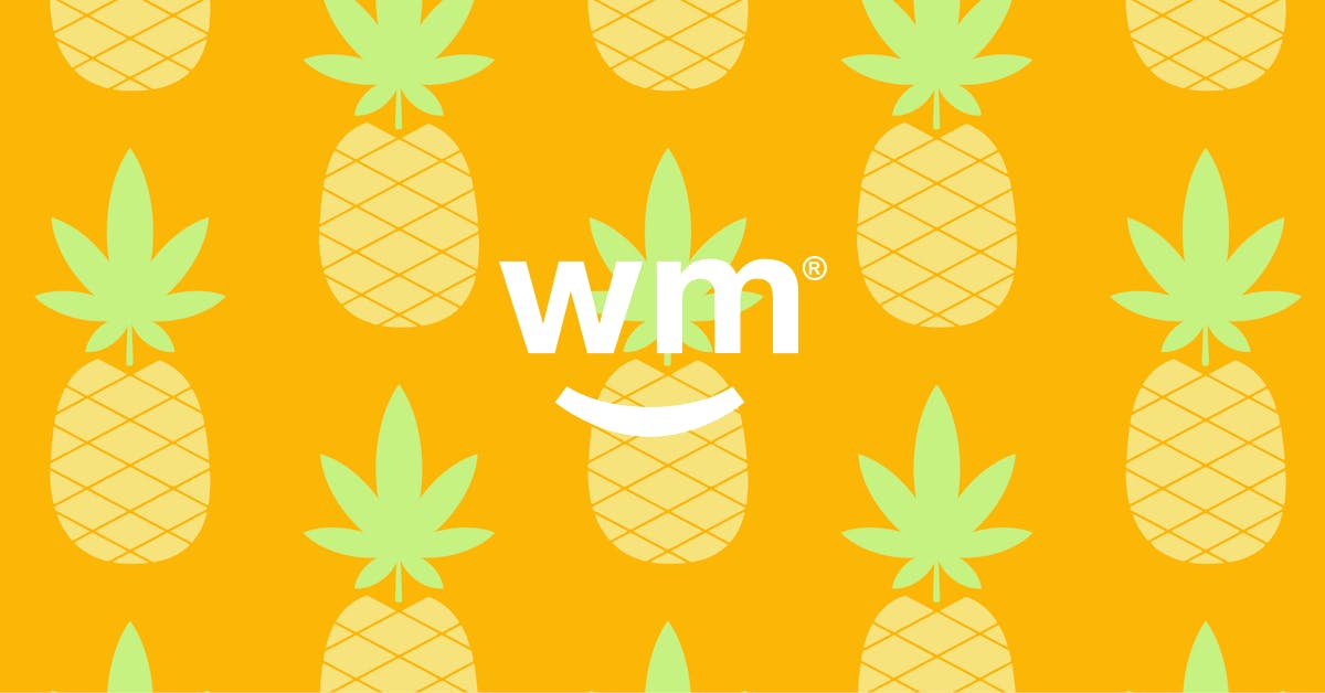 Pineapple Express Weed Strain Information | Weedmaps