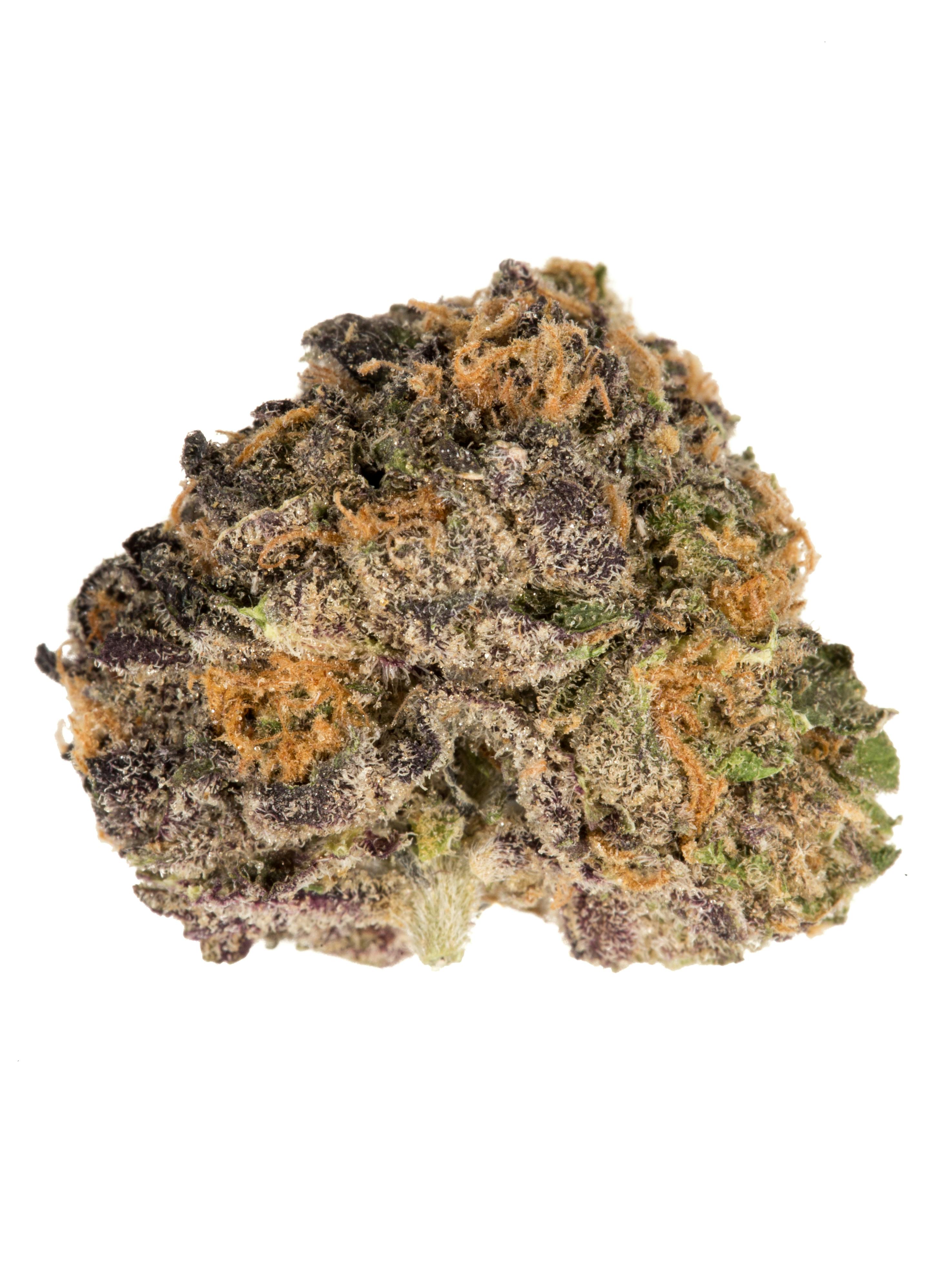 Purple Urkle Weed Strain Information | Weedmaps