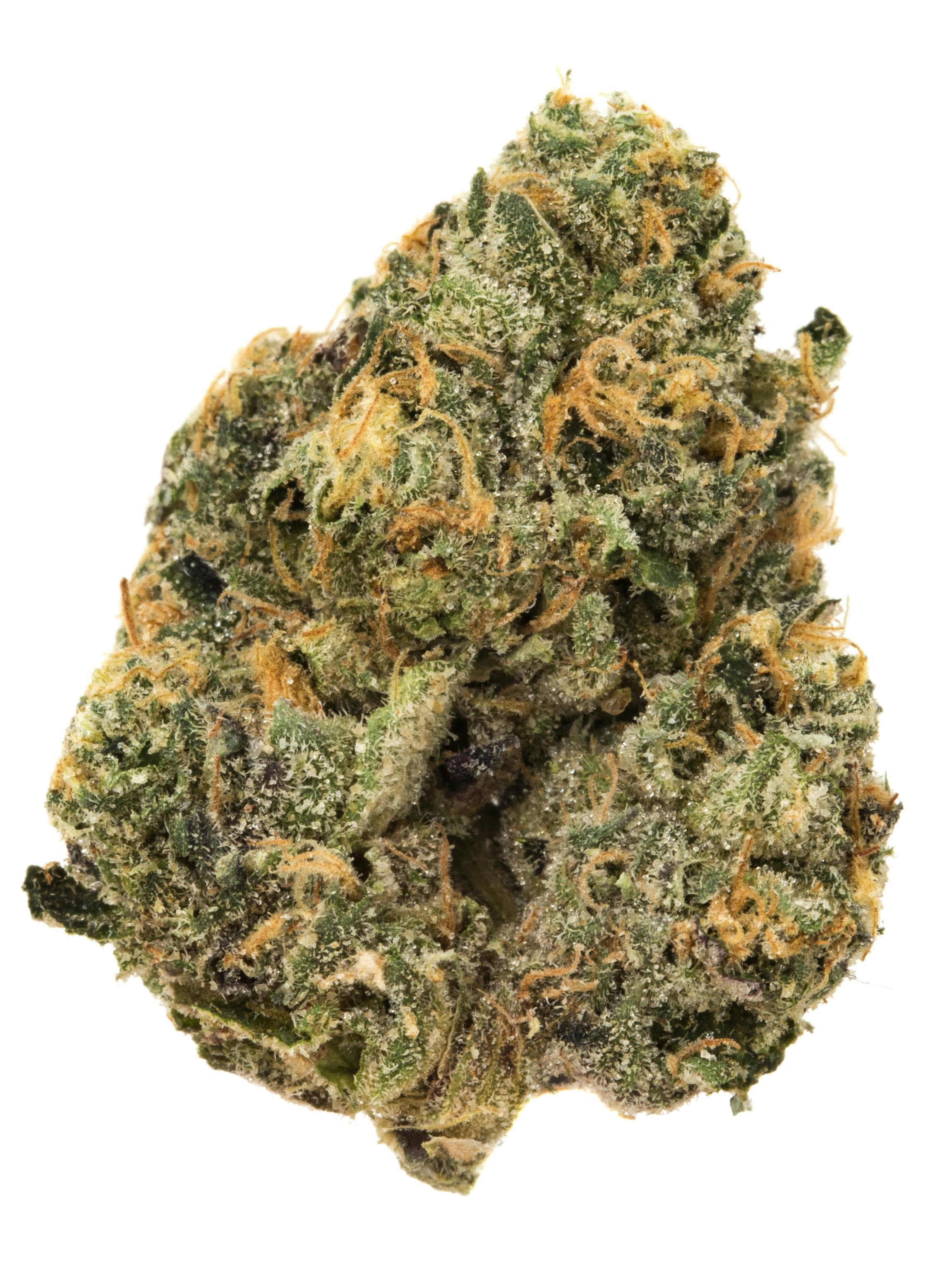 Sherbhead Weed Strain Information | Weedmaps