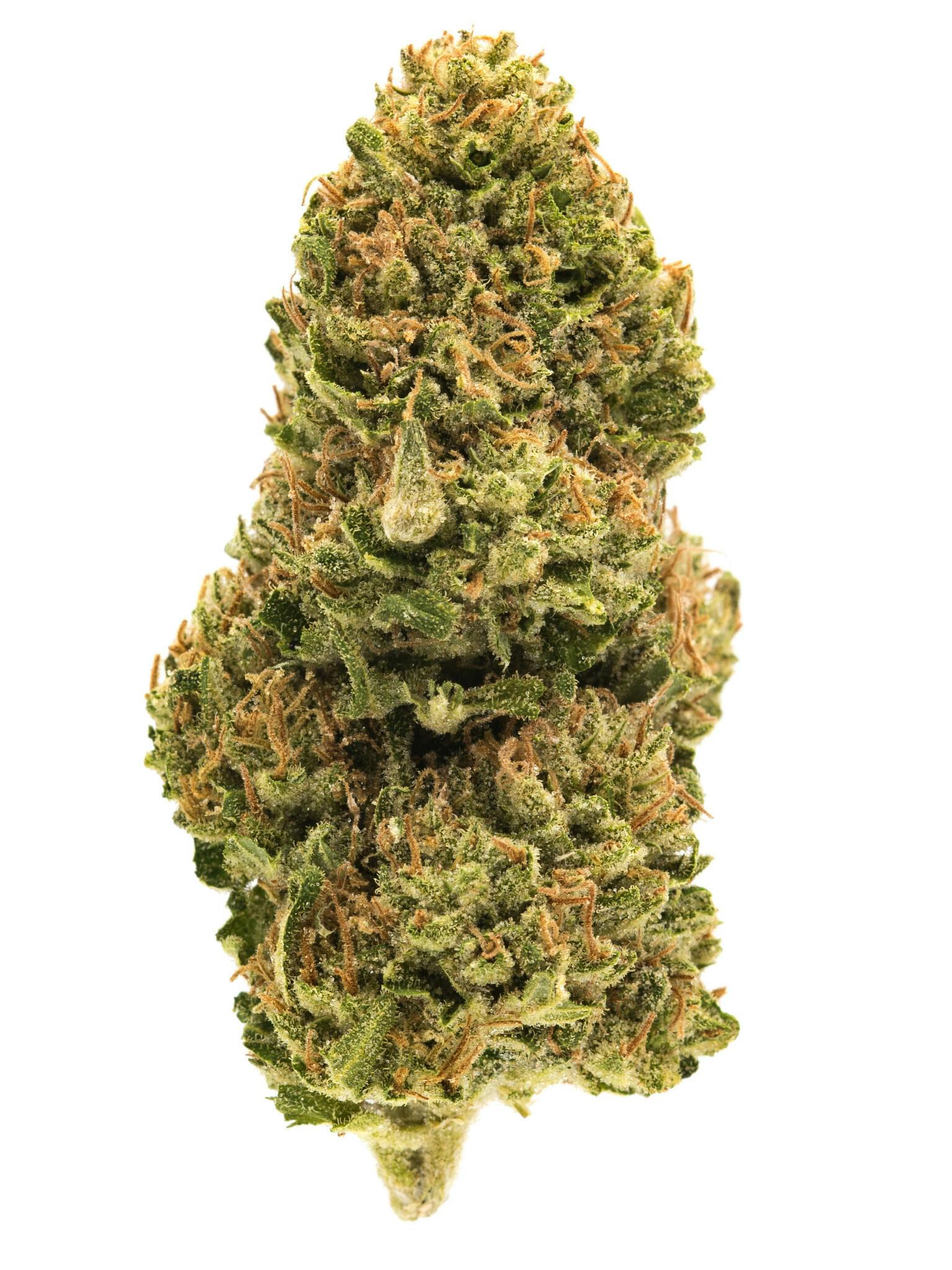【Gangster】THXE 1ml OG KUSH + Buy Bulk Gangster Kush Strain - Cheap Weed Pounds & Reviews
