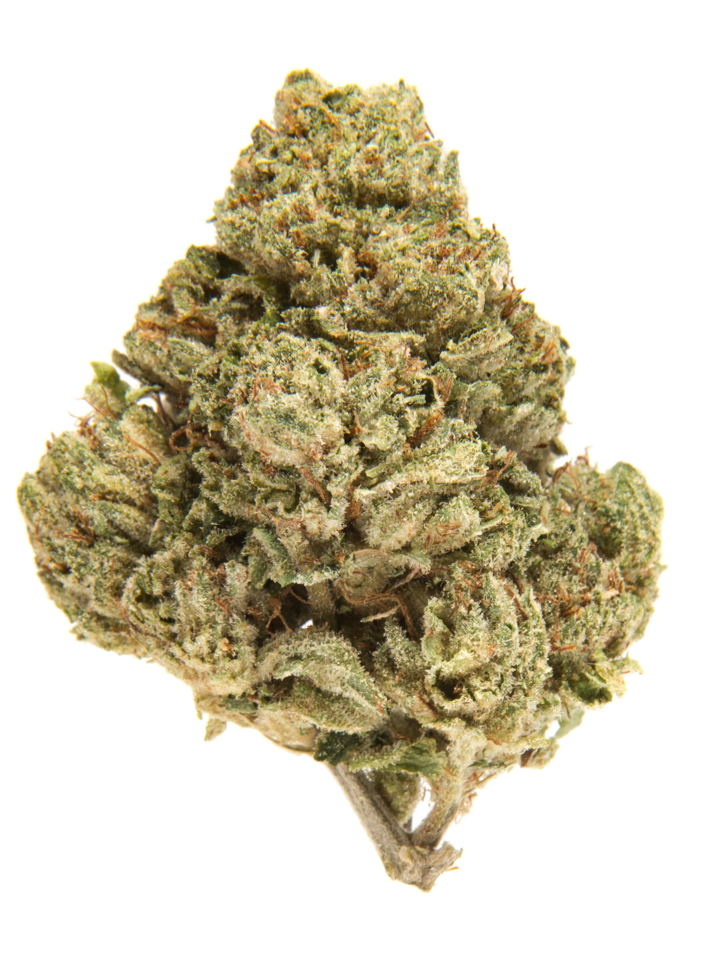 Skywalker OG Weed Strain Information | Weedmaps