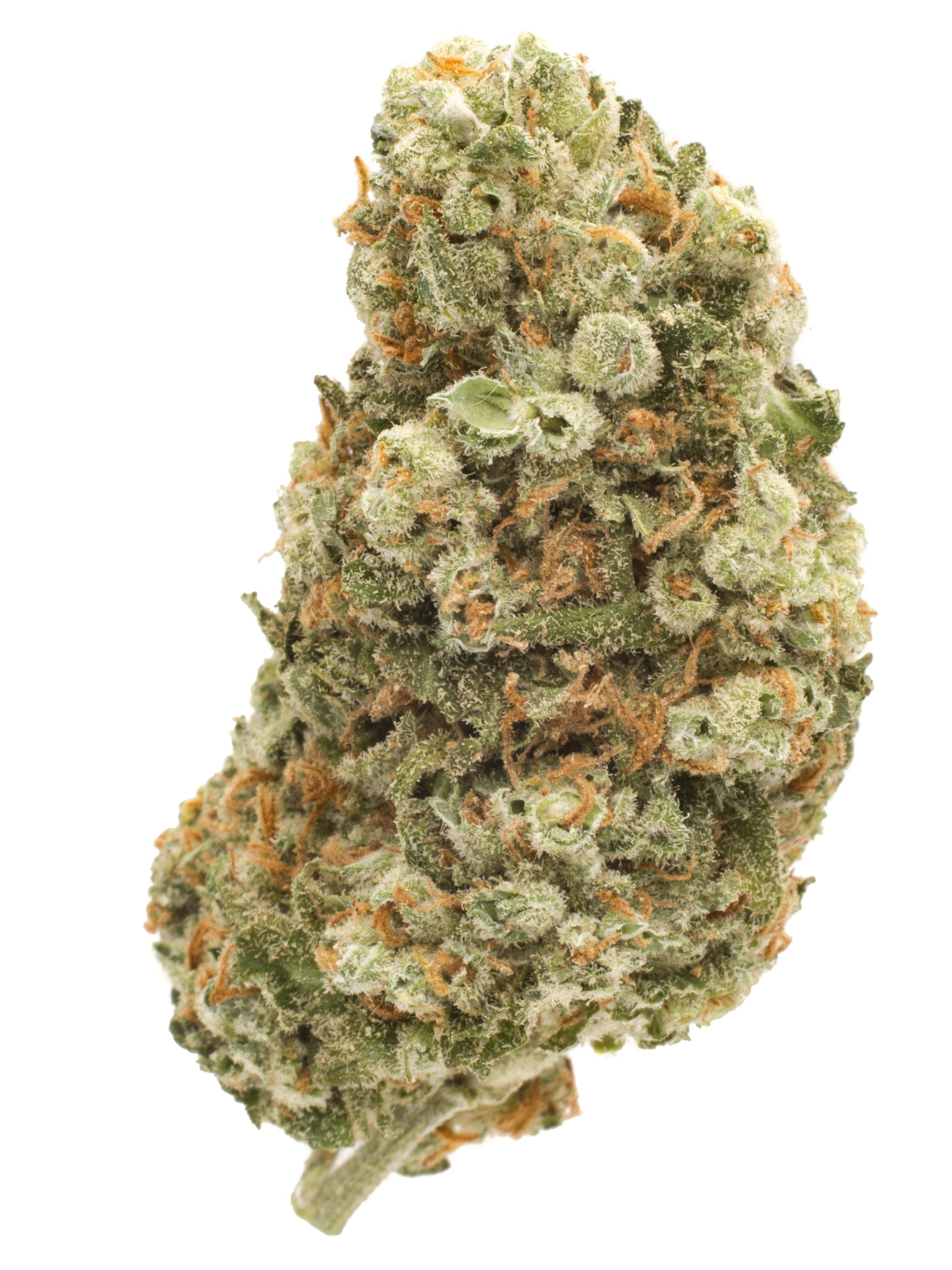 Sour Jack Weed Strain Information Weedmaps