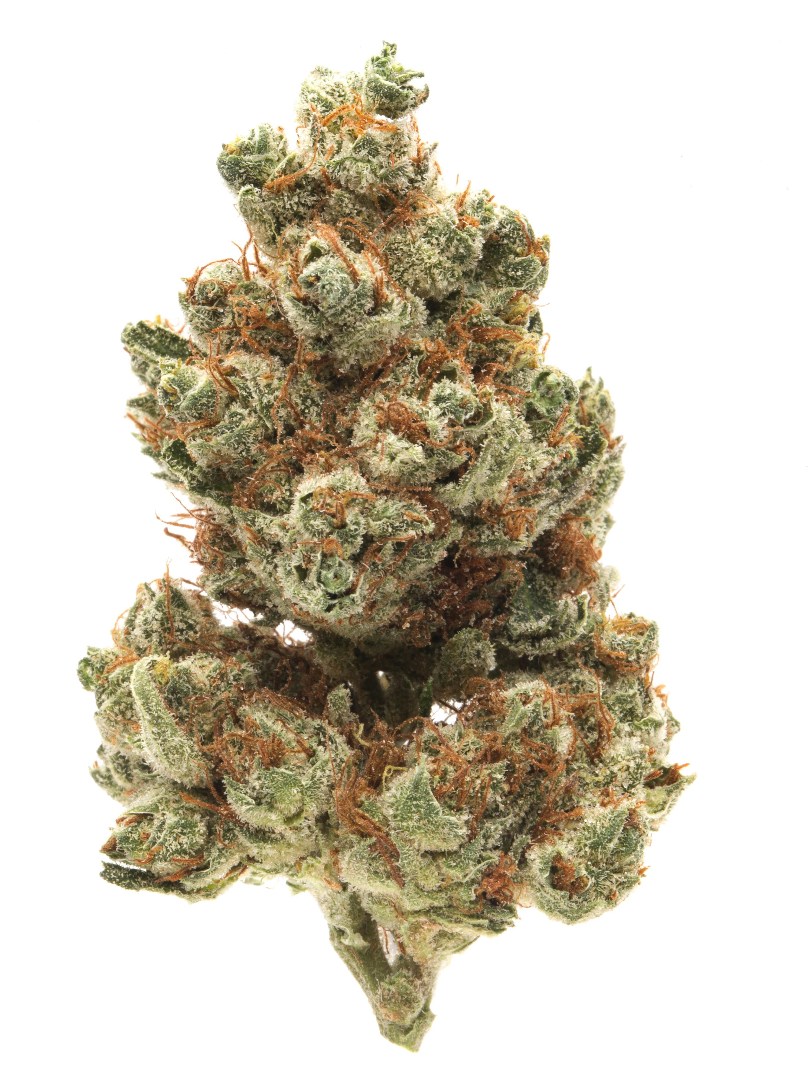 WEEDページ　Tangie 300ml Tangie - Dr.Ganja