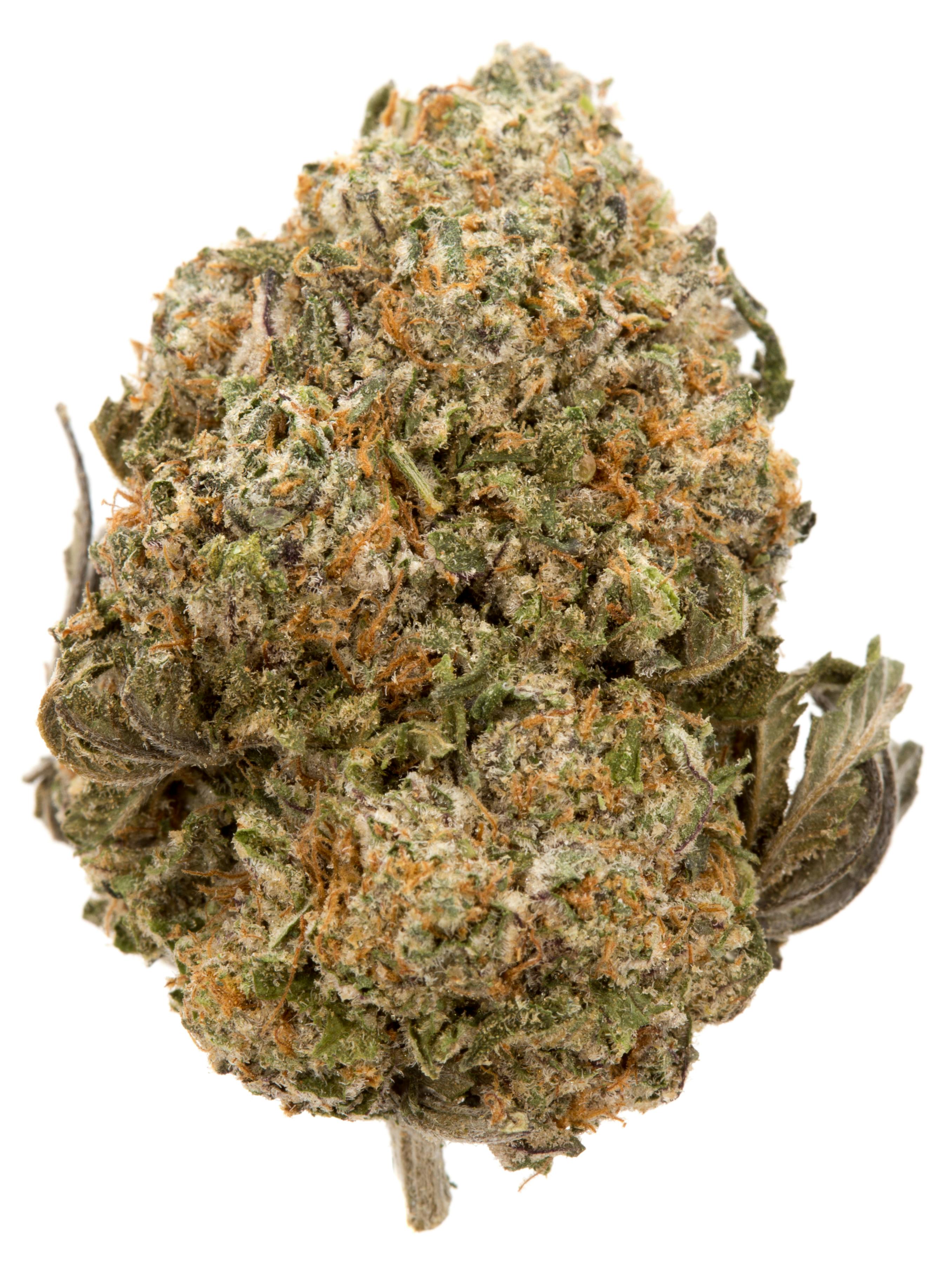 Sugar Cookie Weed Strain Information Weedmaps