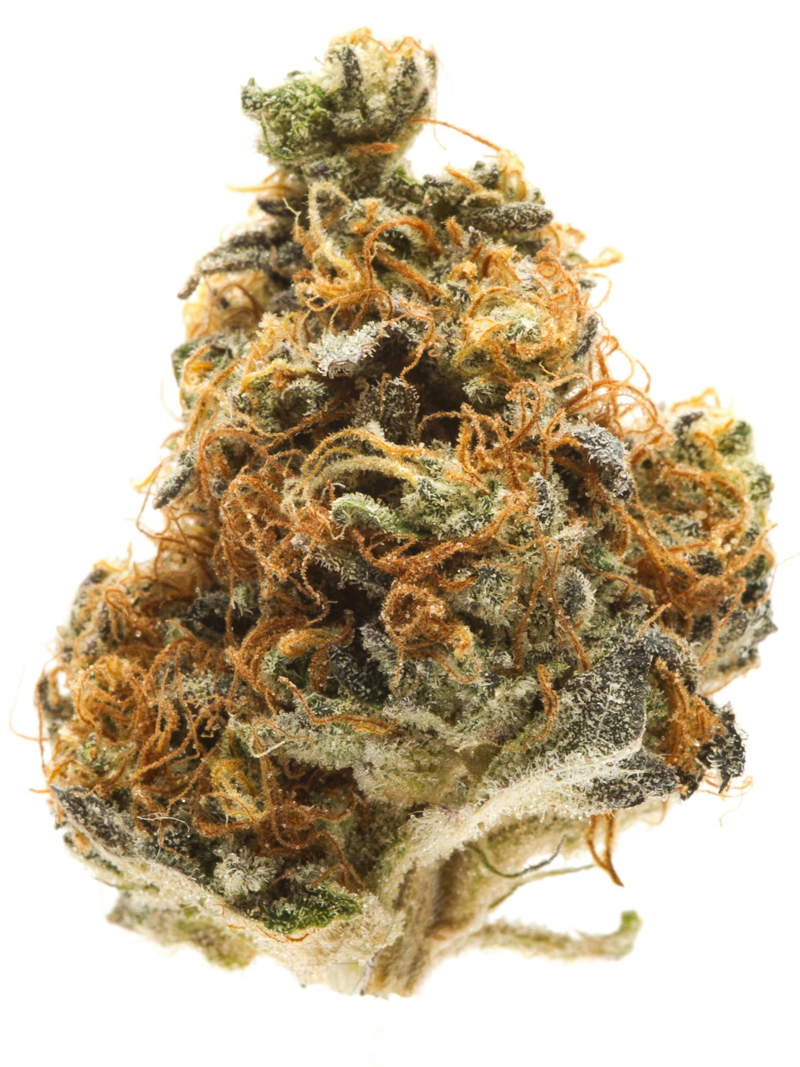 Sundae Driver