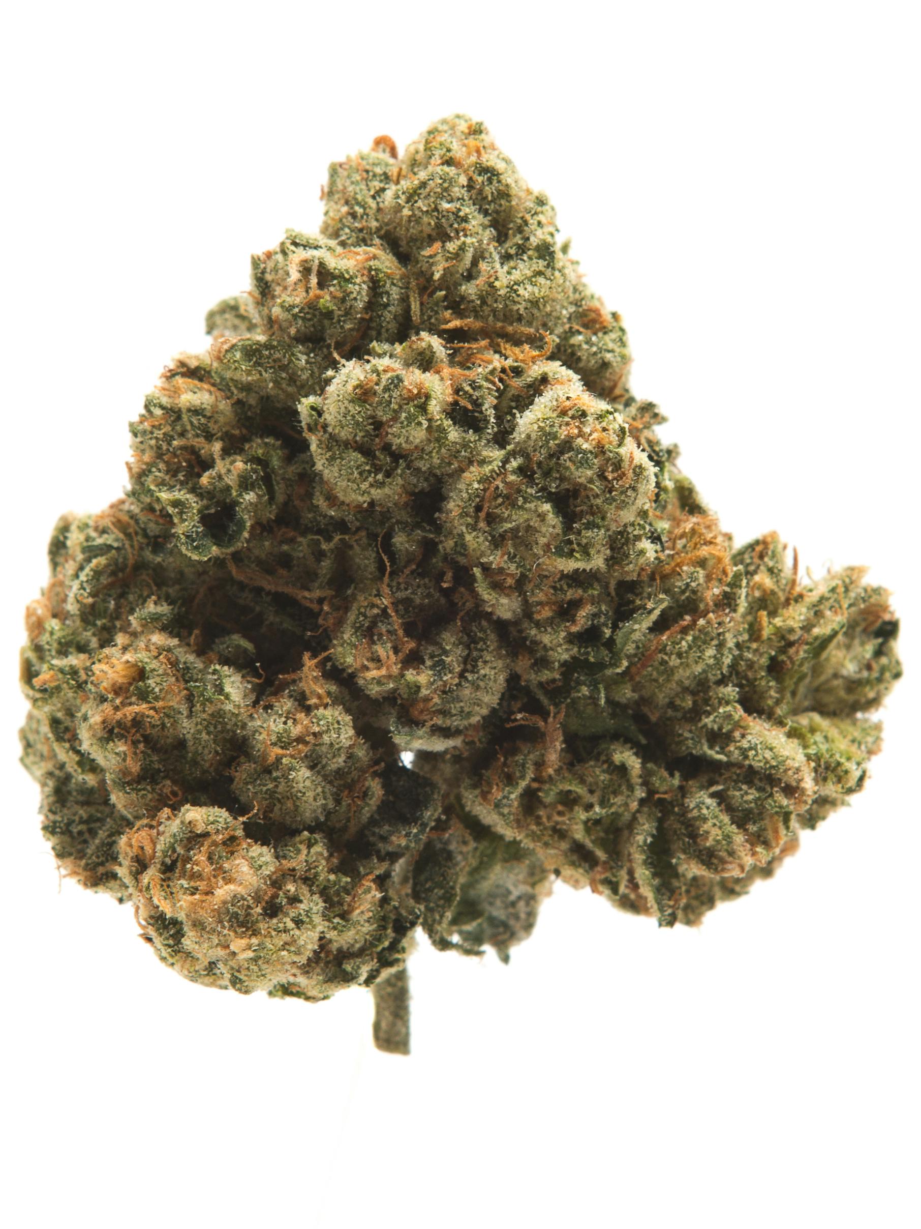 Sunset OG Weed Strain Information Weedmaps