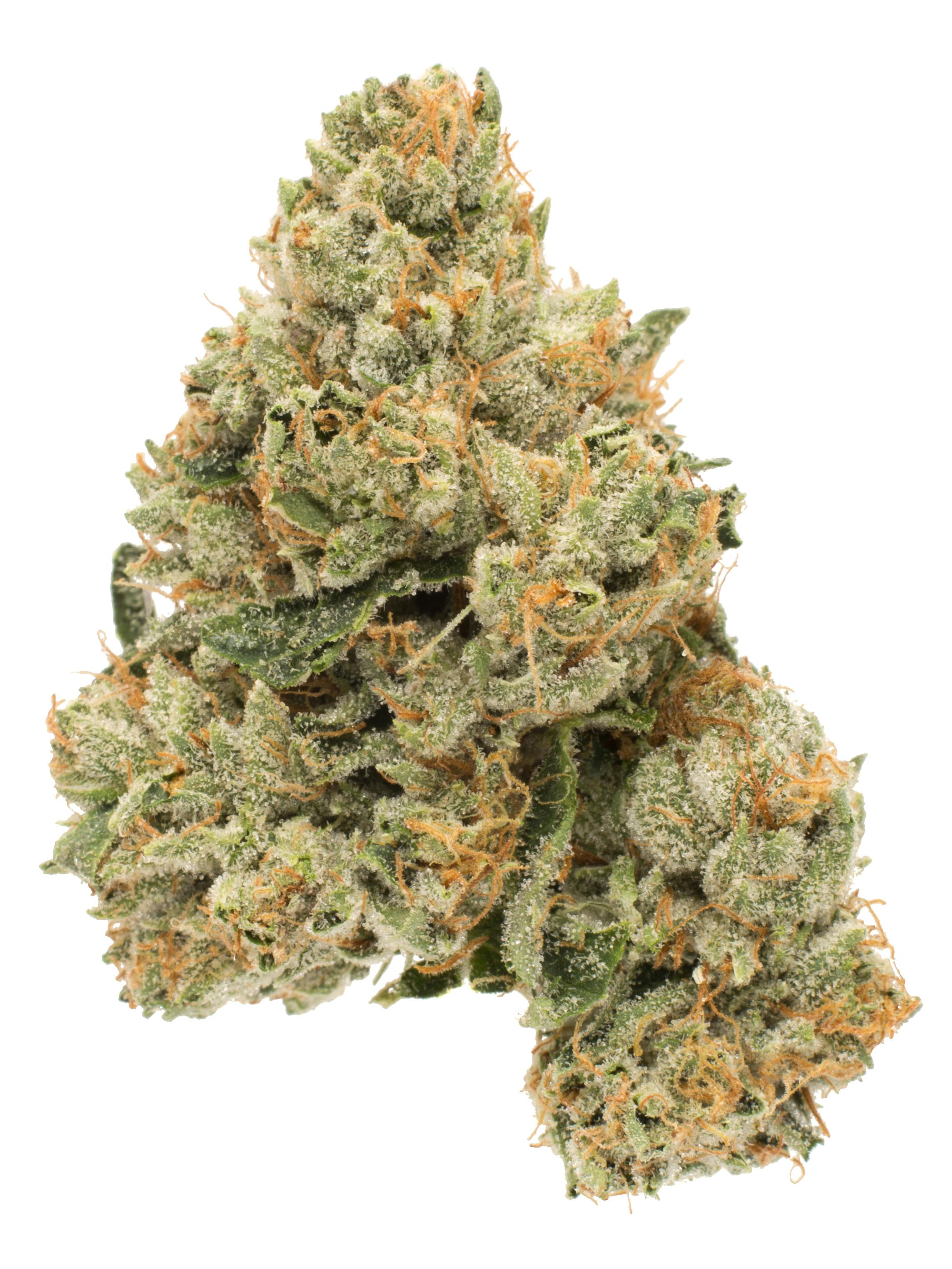 【Gangster】THXE 1ml OG KUSH + Gangster OG (smalls) (AAA+) | #1 Rated Online Marijuana
