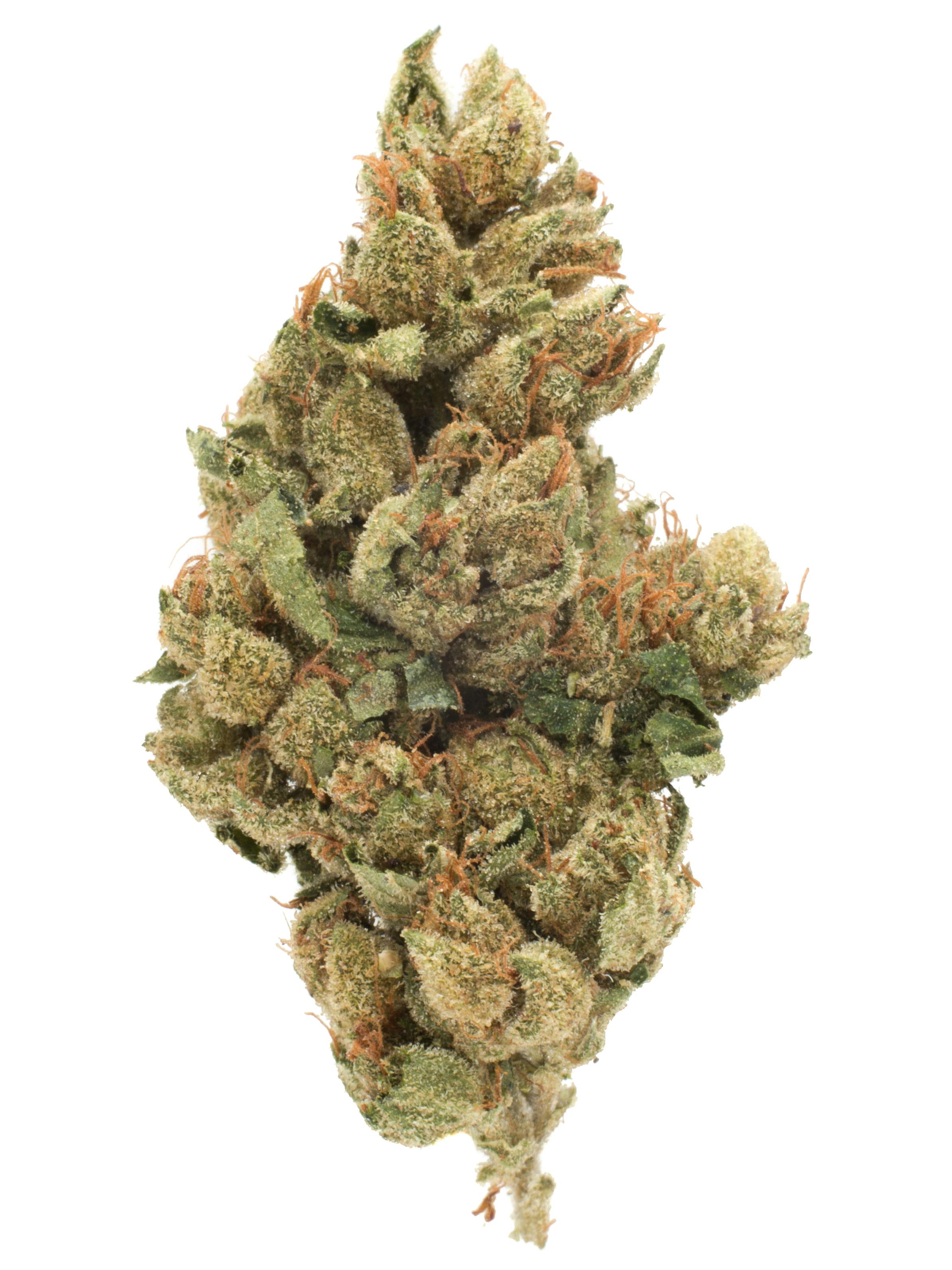 OG Kush (aka OG, Original Kush) Weed Strain Information
