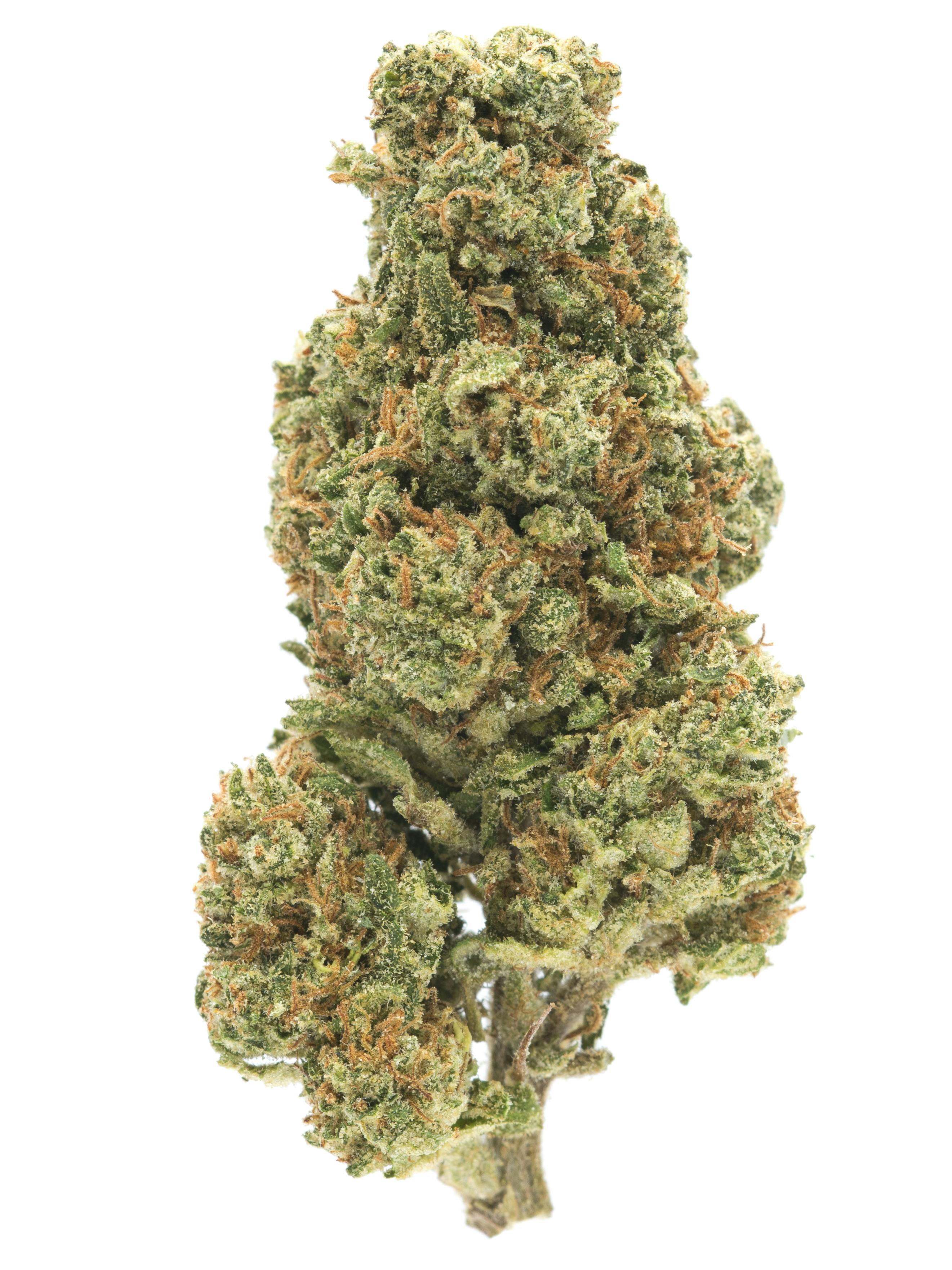 Trainwreck Weed Strain Information | Weedmaps