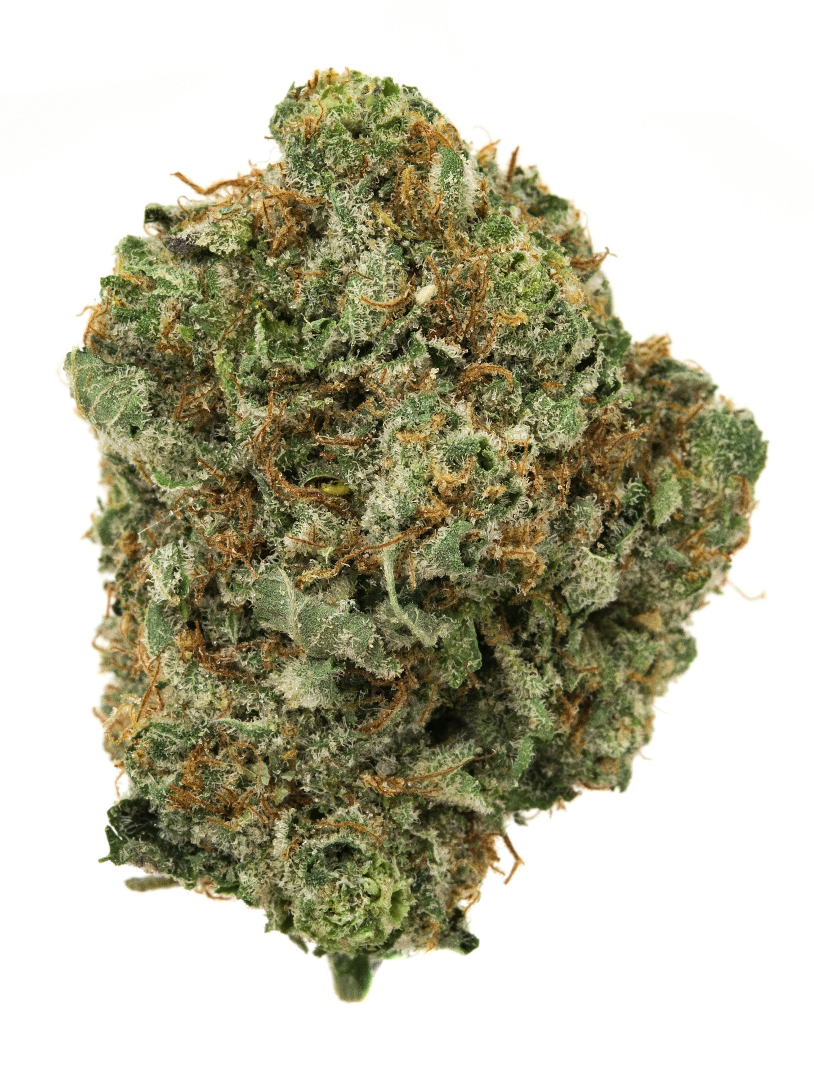 お気にいる Mimosa Weed Weedmaps | Information Strain その他