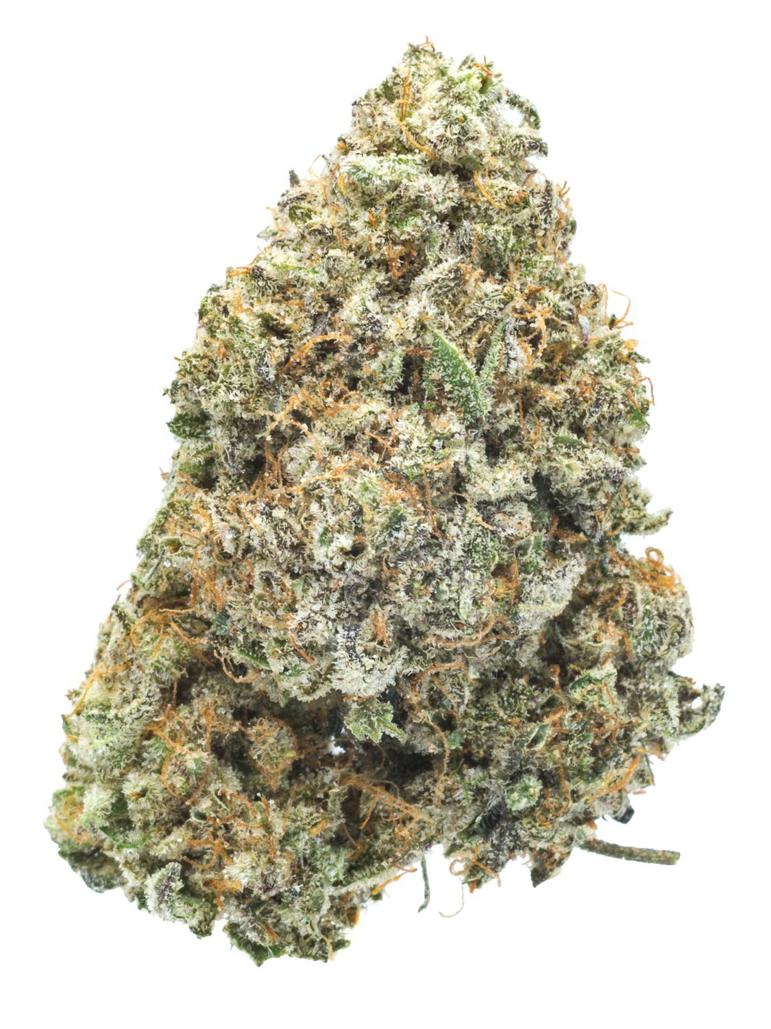 White Buffalo (aka Tatanka) Weed Strain Near Me | Weedmaps
