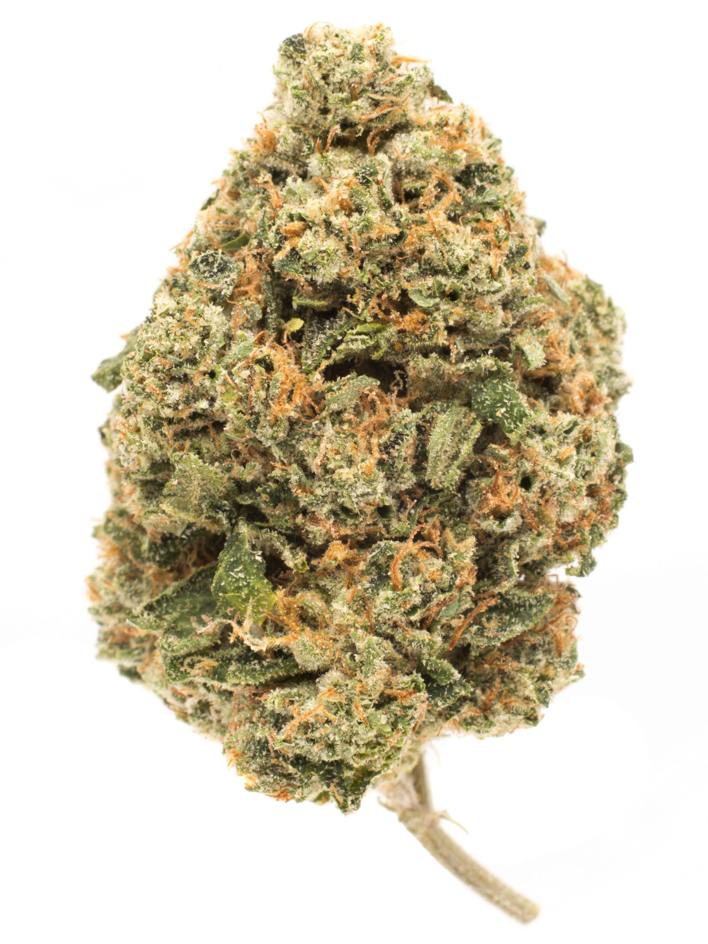 Thunder Struck cannabis strain