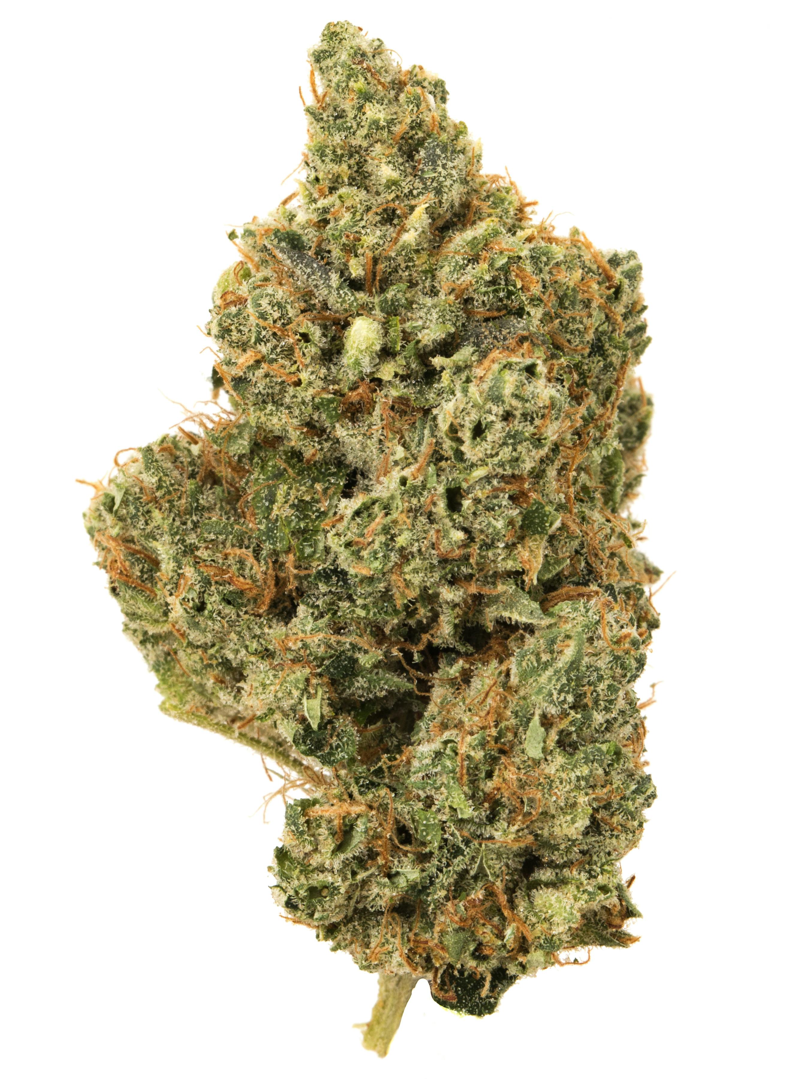 商品画像：YODA OG – AAA WeedRunner 1