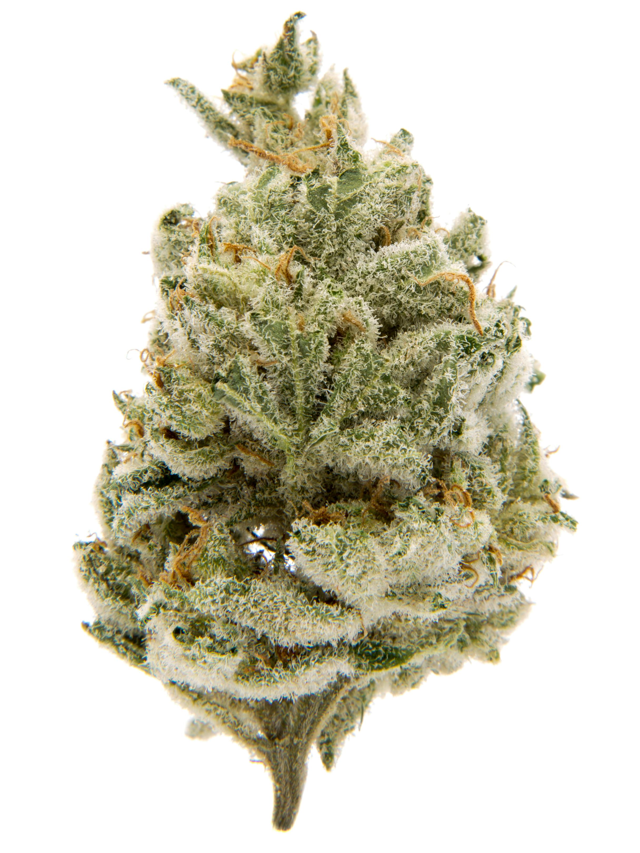 Lemon Meringue Weed Strain Information | Weedmaps