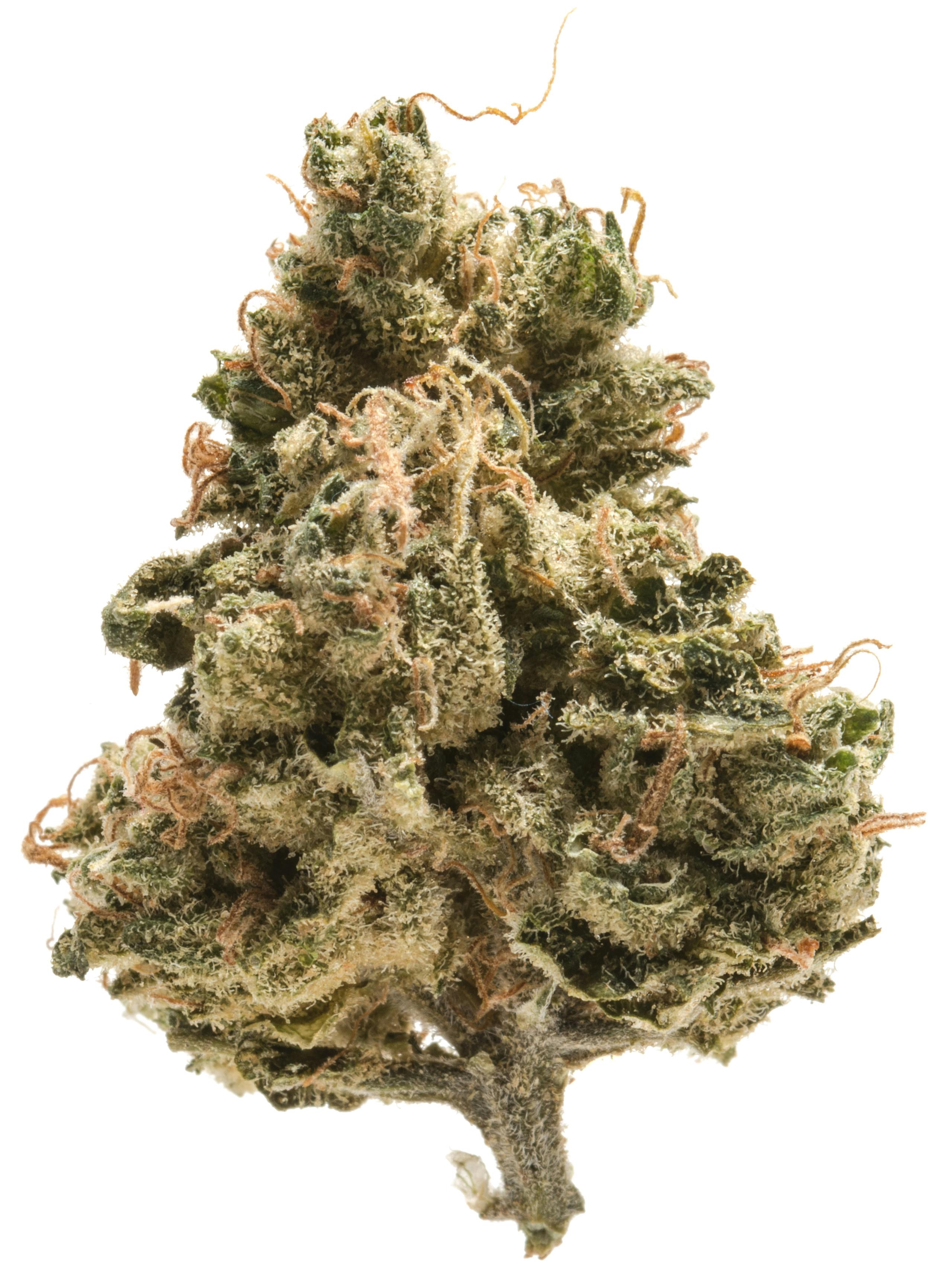 Papaya Weed Strain Information Weedmaps