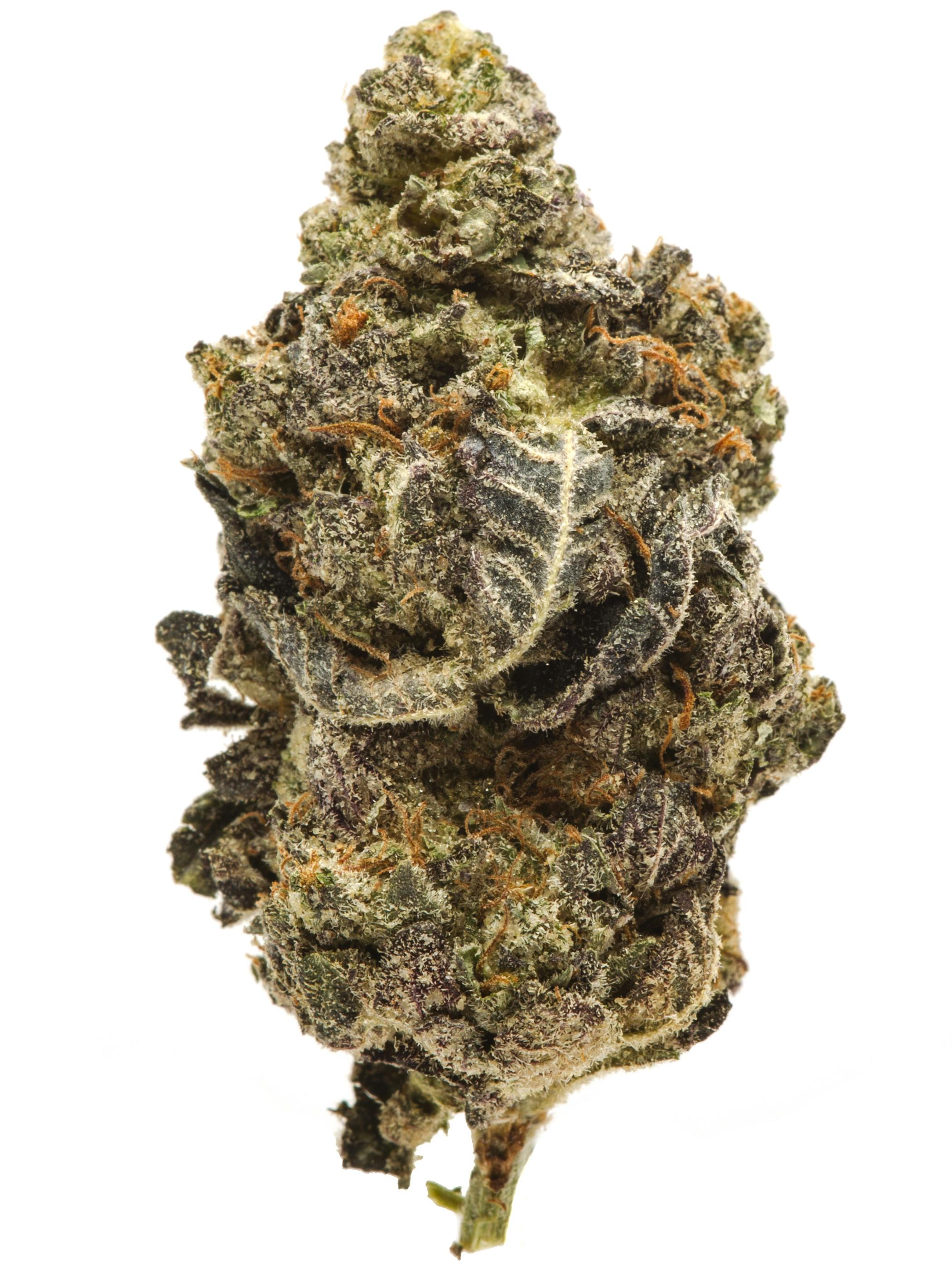 Alien Cookies Weed Strain Information Weedmaps