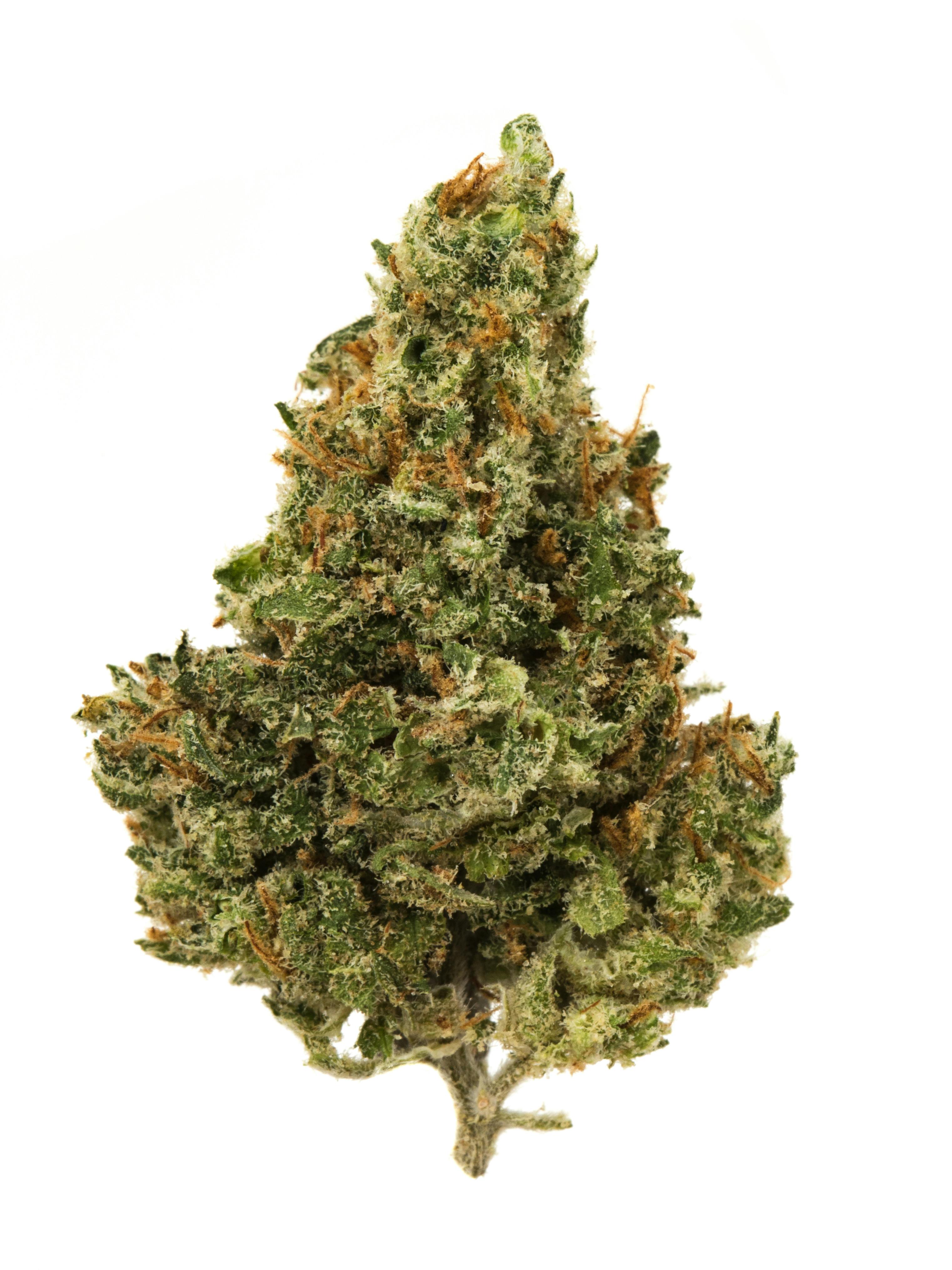 Candy Jack Weed Strain Information Weedmaps