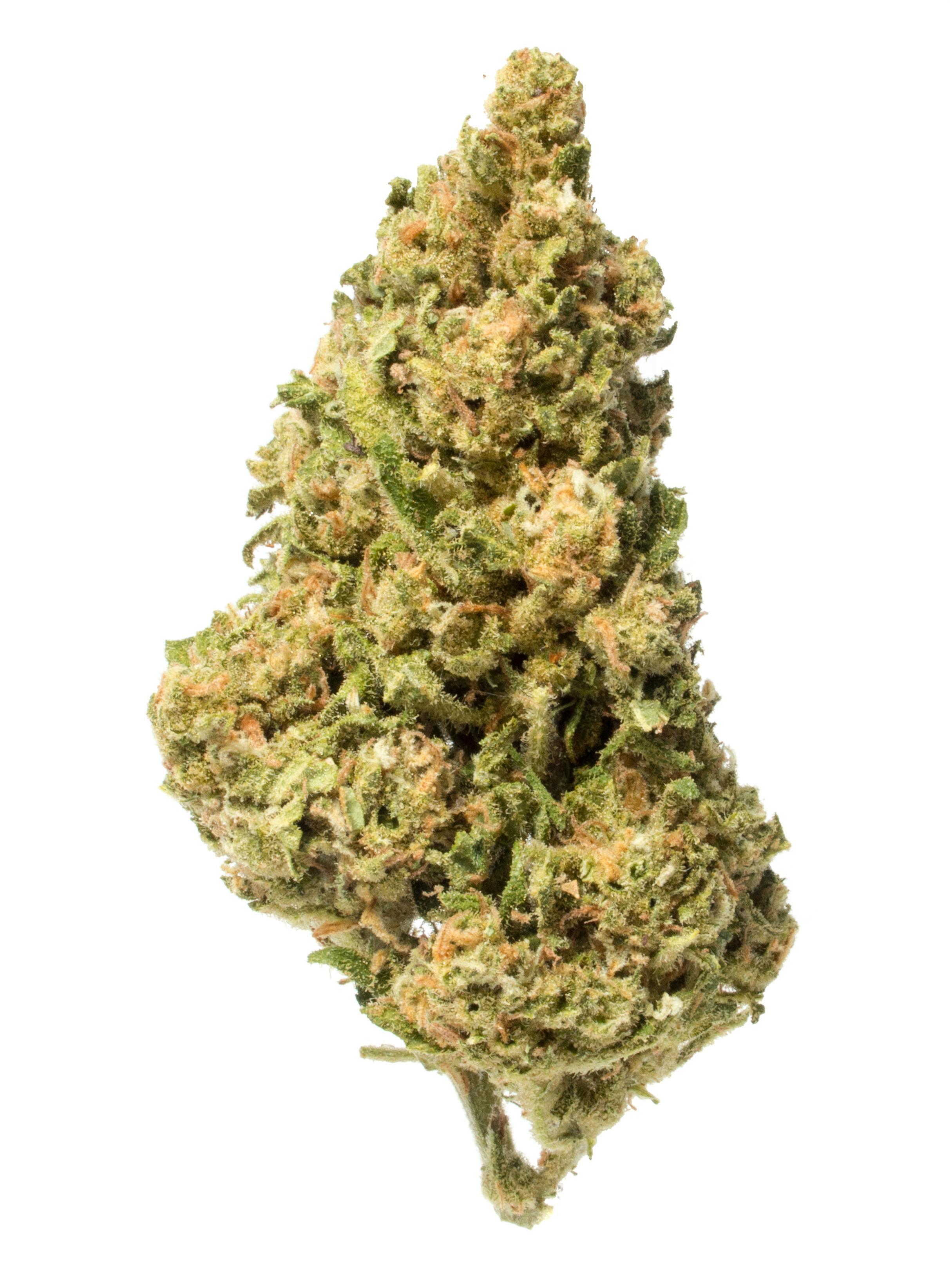 Green Dream (Green Dreams)