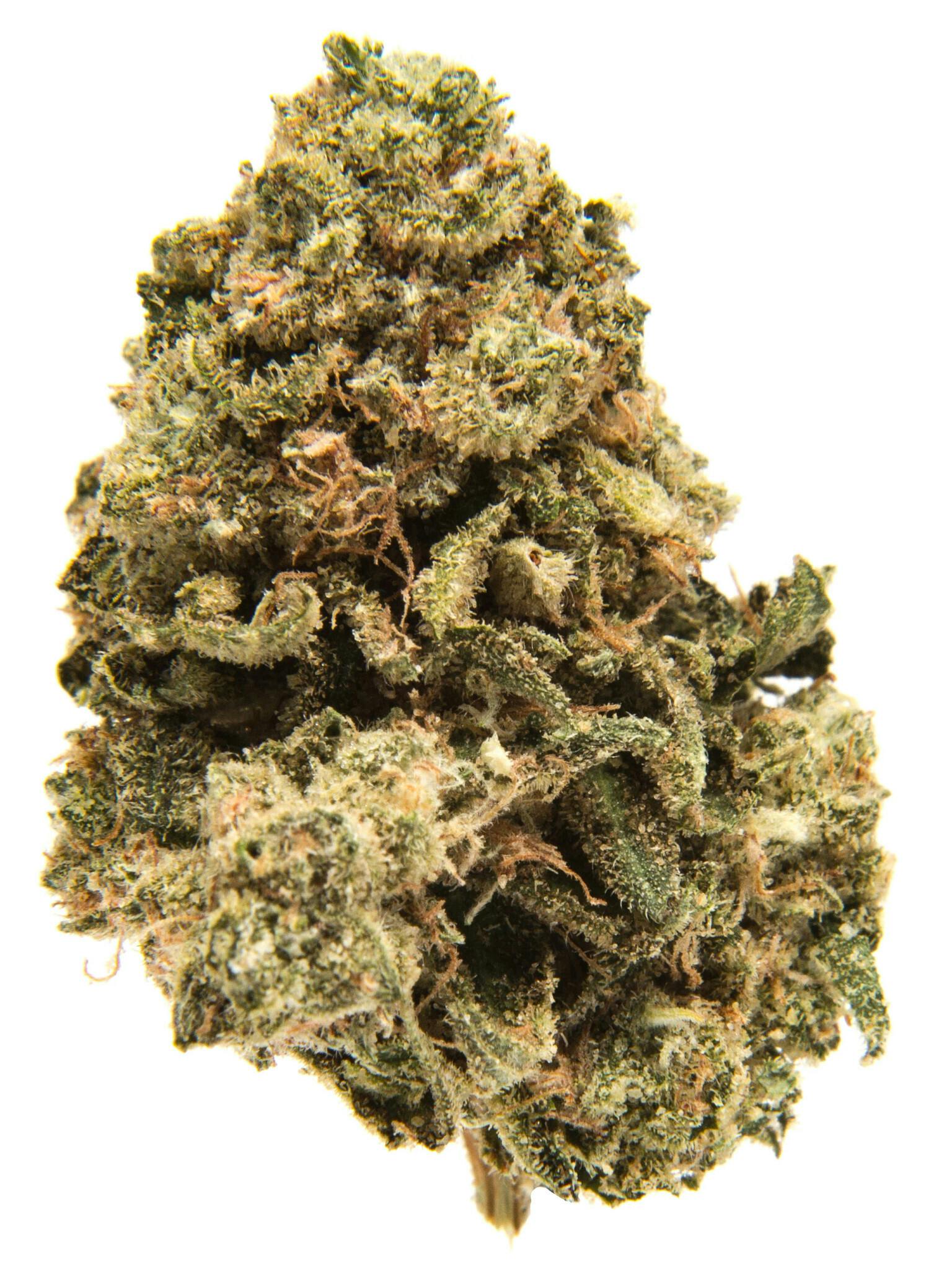 Black Domina Weed Strain Information | Weedmaps